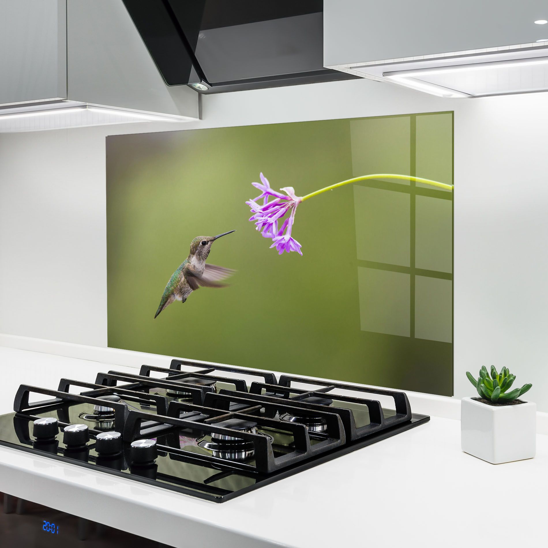 Cute Hummingbird mockup 6