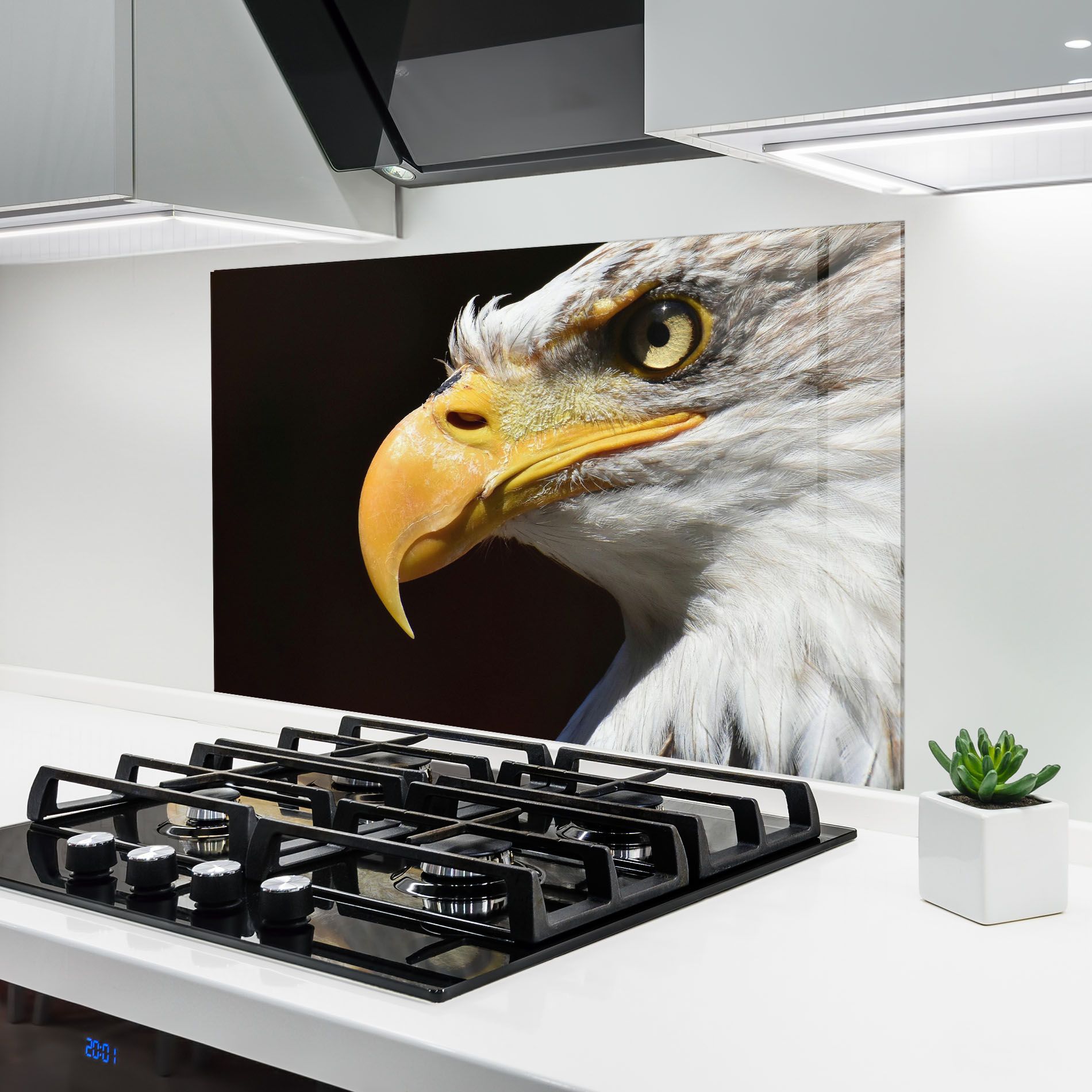 Eagle Close Up mockup 6