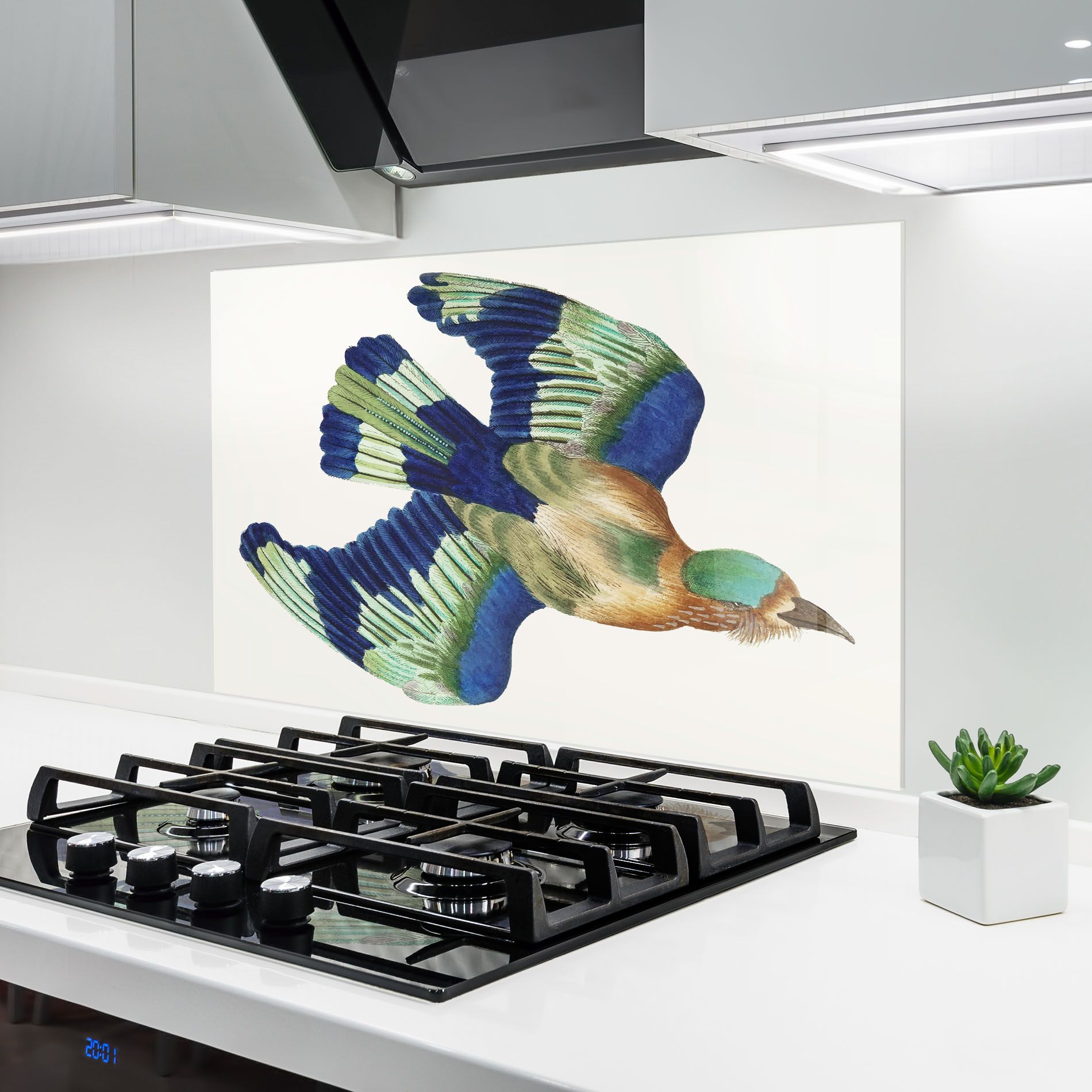 Green Blue Bird mockup 6