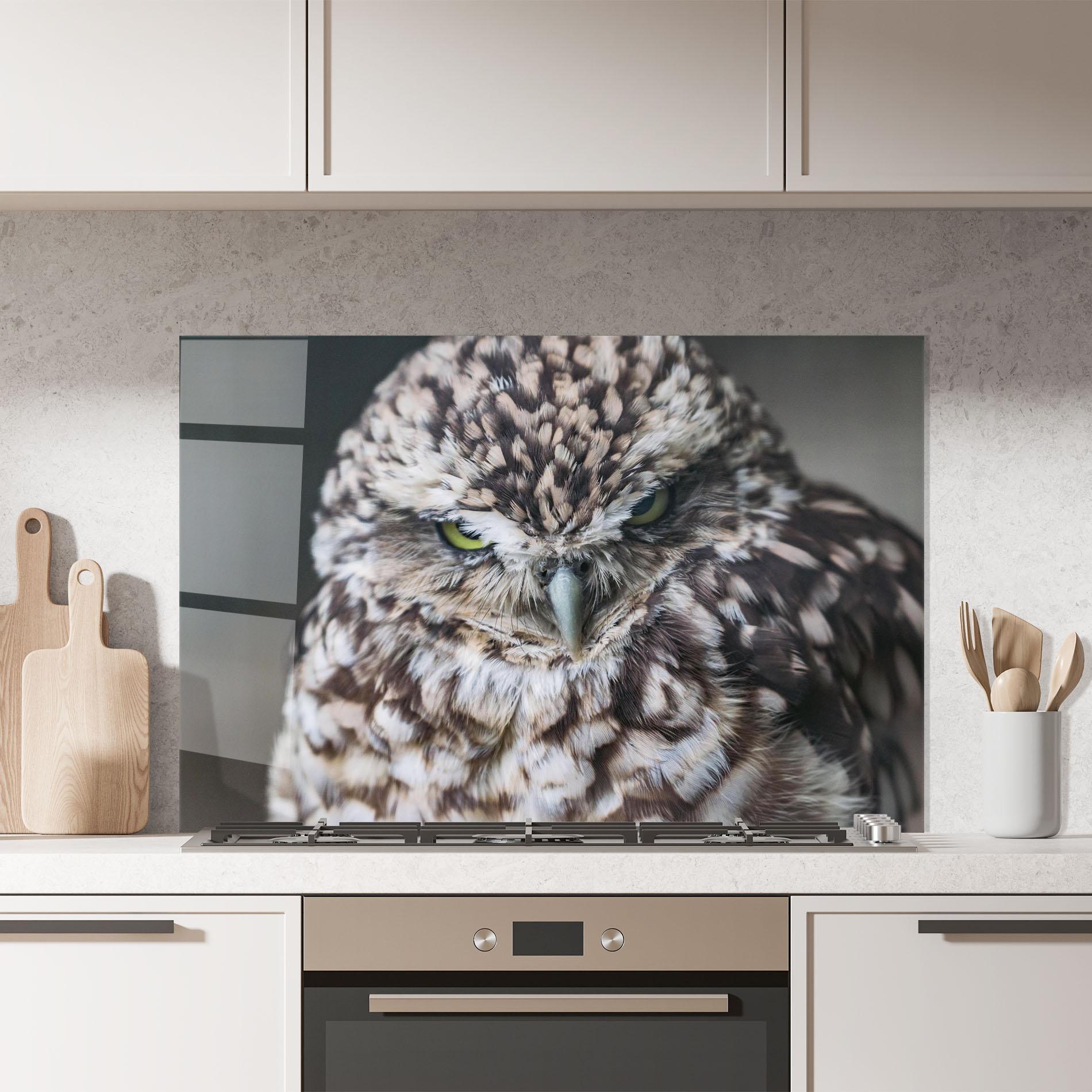 Küchenrückwand Glas Angry Little Owl mockup 7