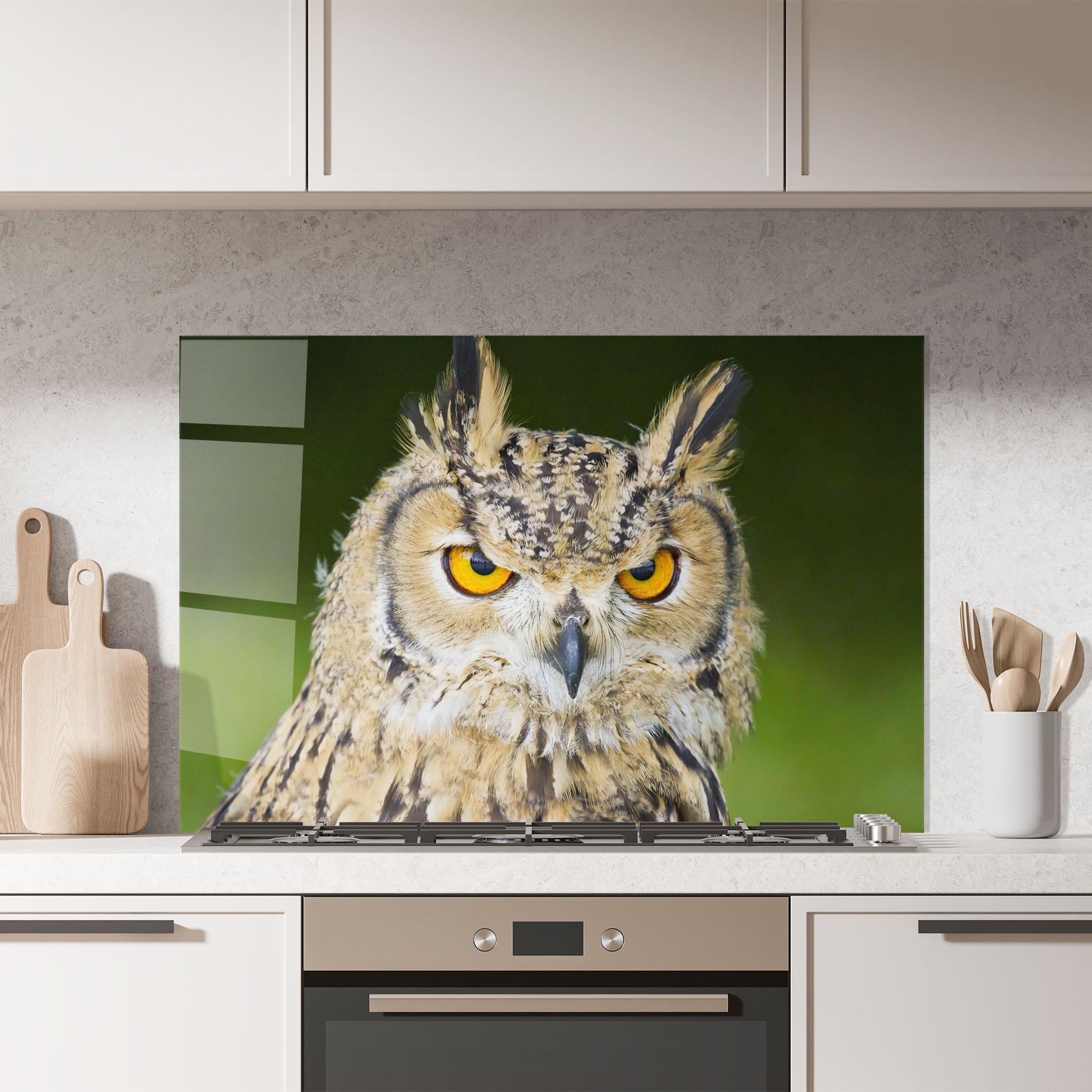 Küchenrückwand Glas Angry Owl mockup 7