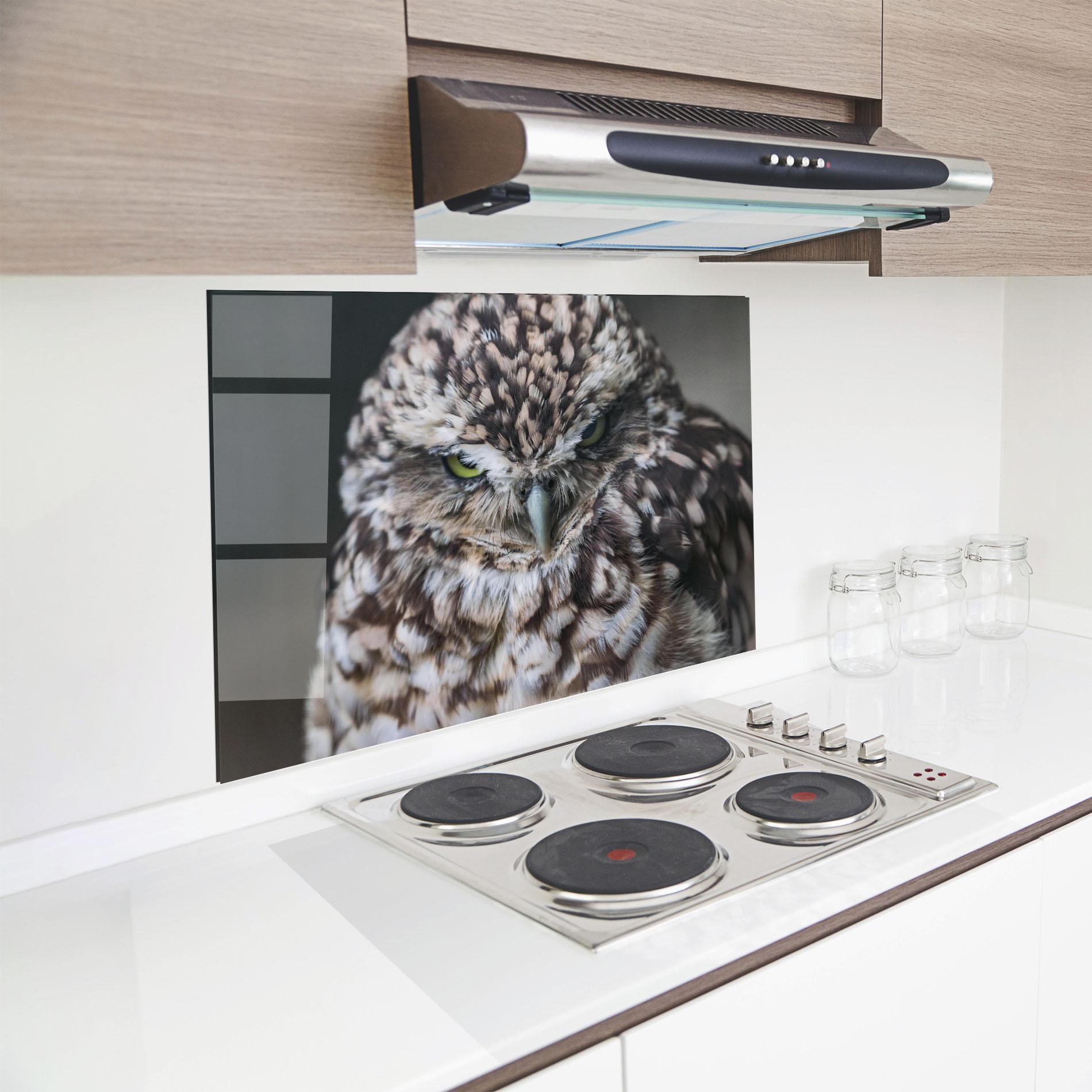 Küchenrückwand Glas Angry Little Owl mockup 8