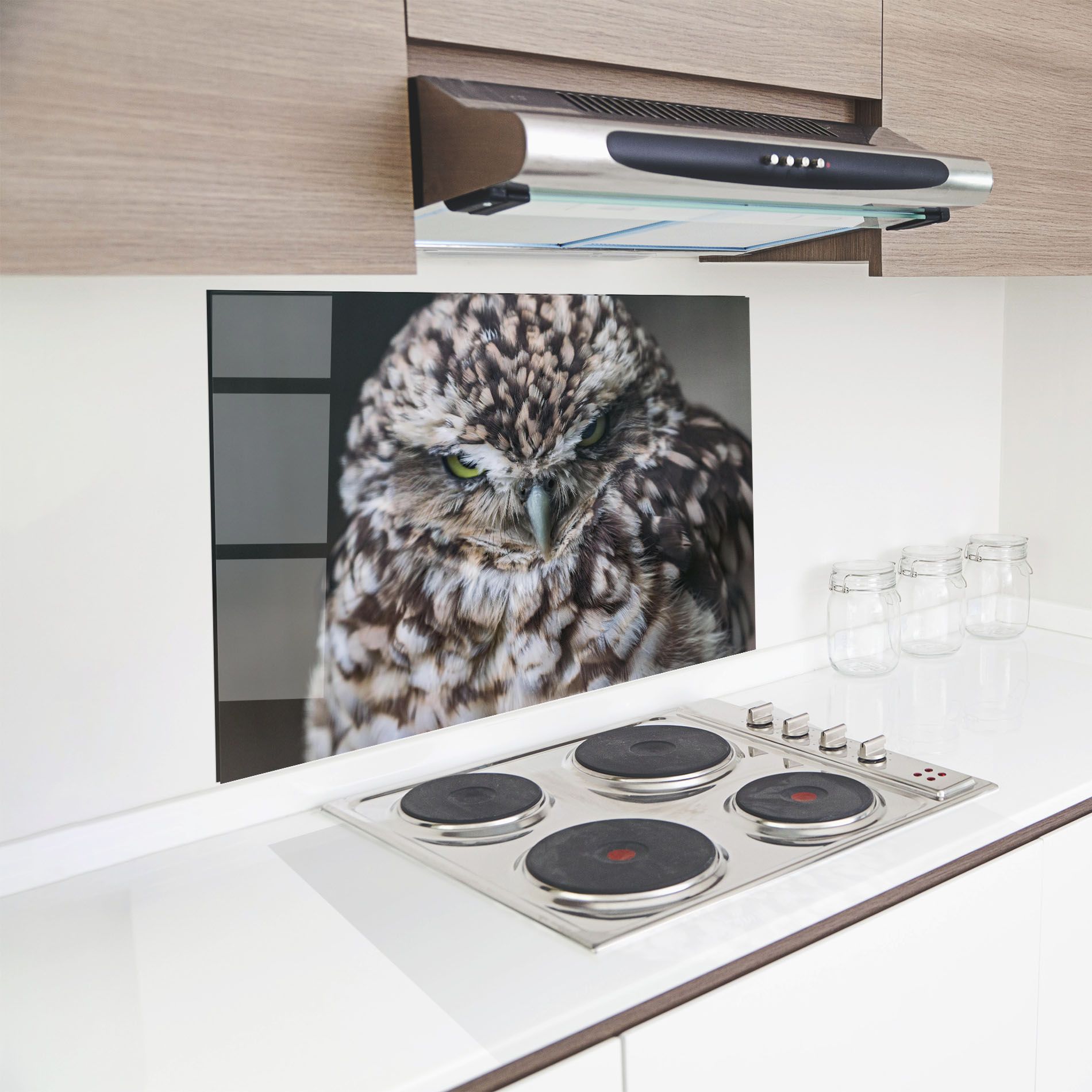 Angry Little Owl mockup 8