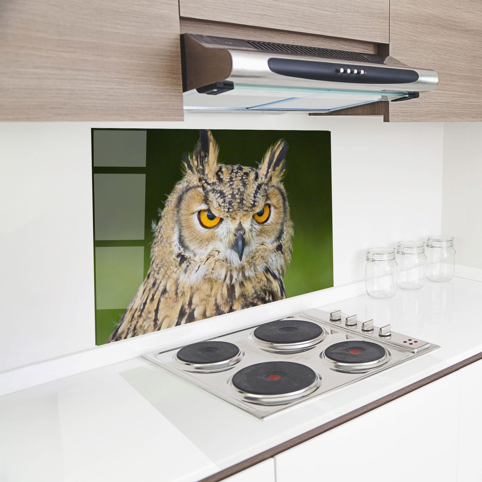 Küchenrückwand Glas Angry Owl mockup 8
