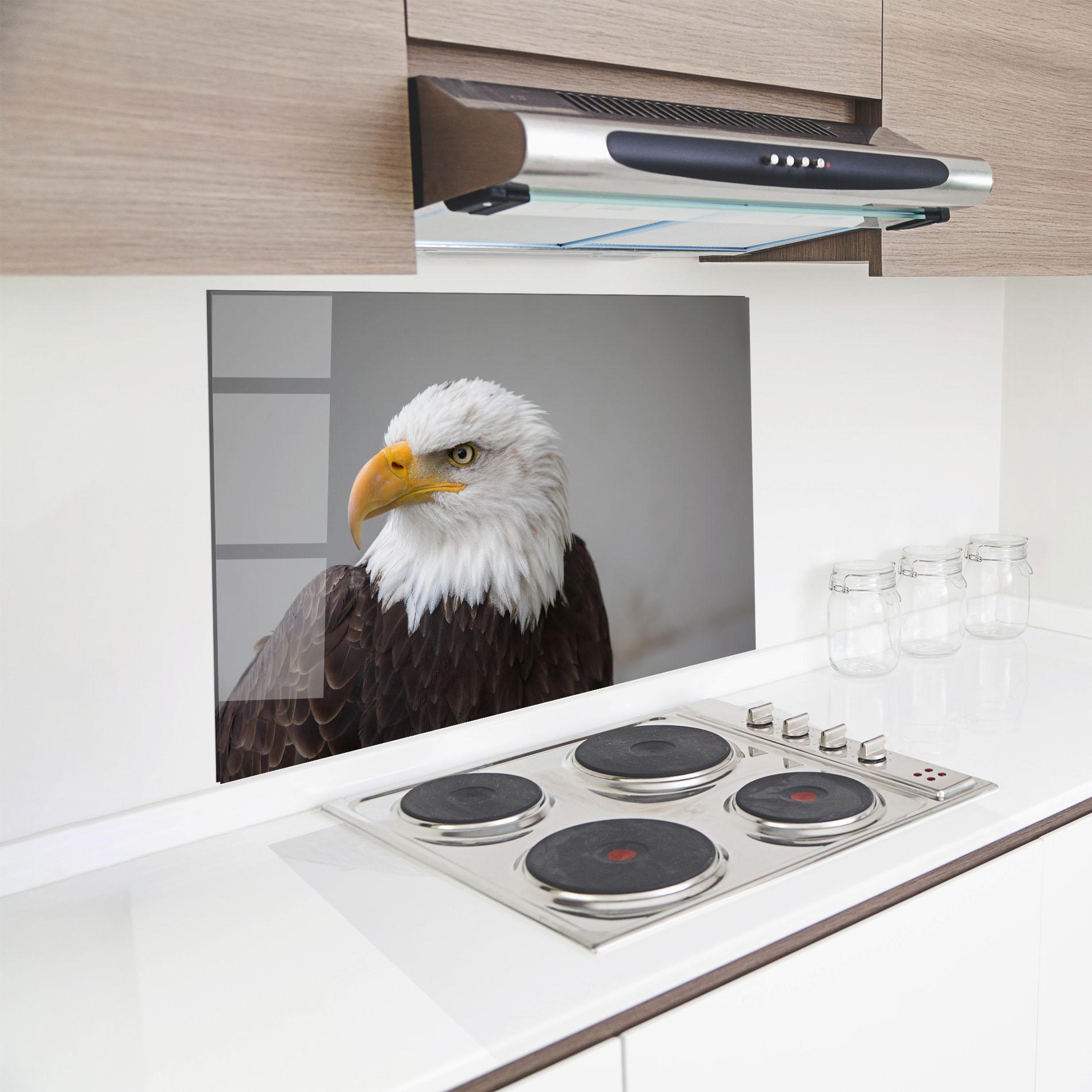 Küchenrückwand Glas Beautiful Eagle mockup 8