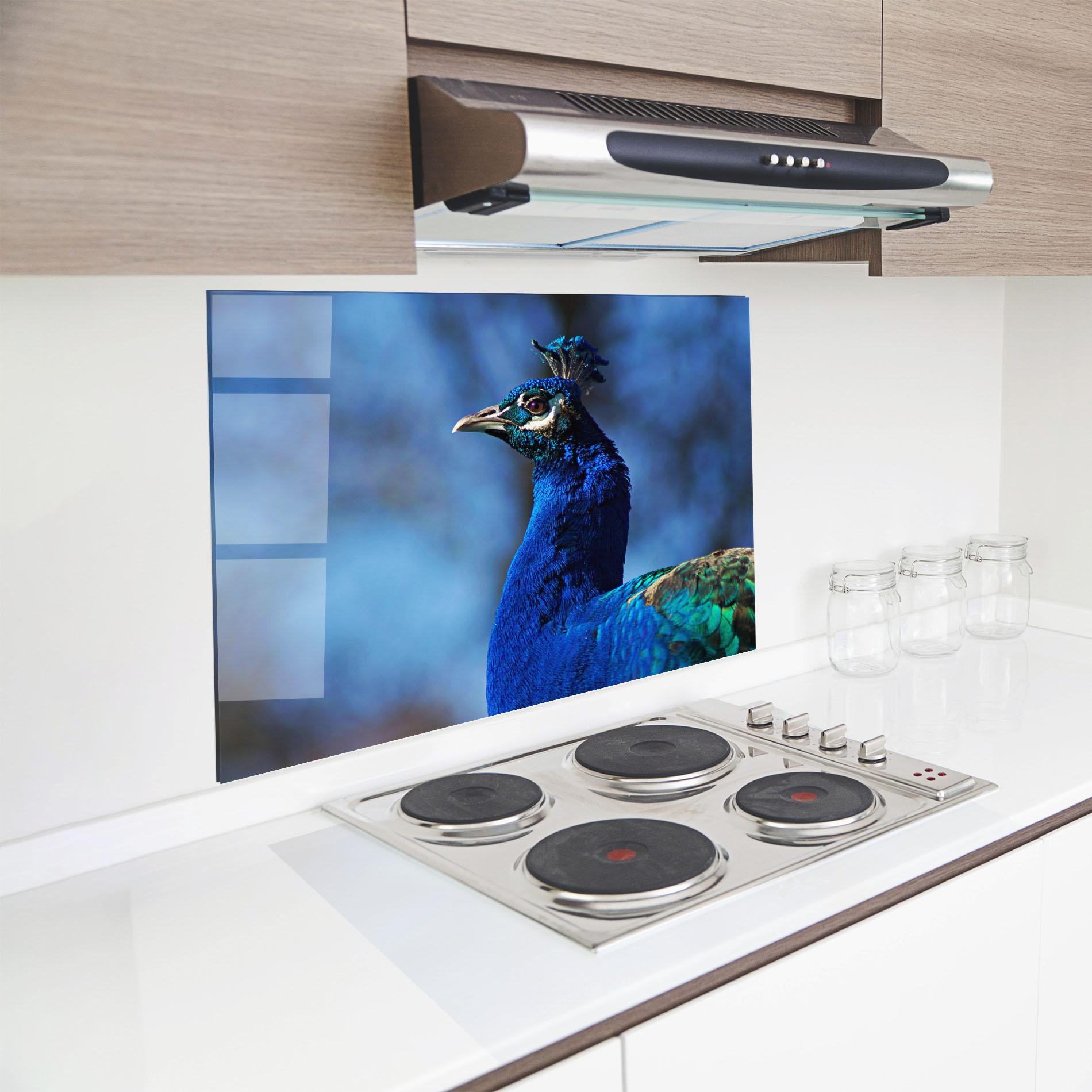 Küchenrückwand Glas Blue Bird mockup 8