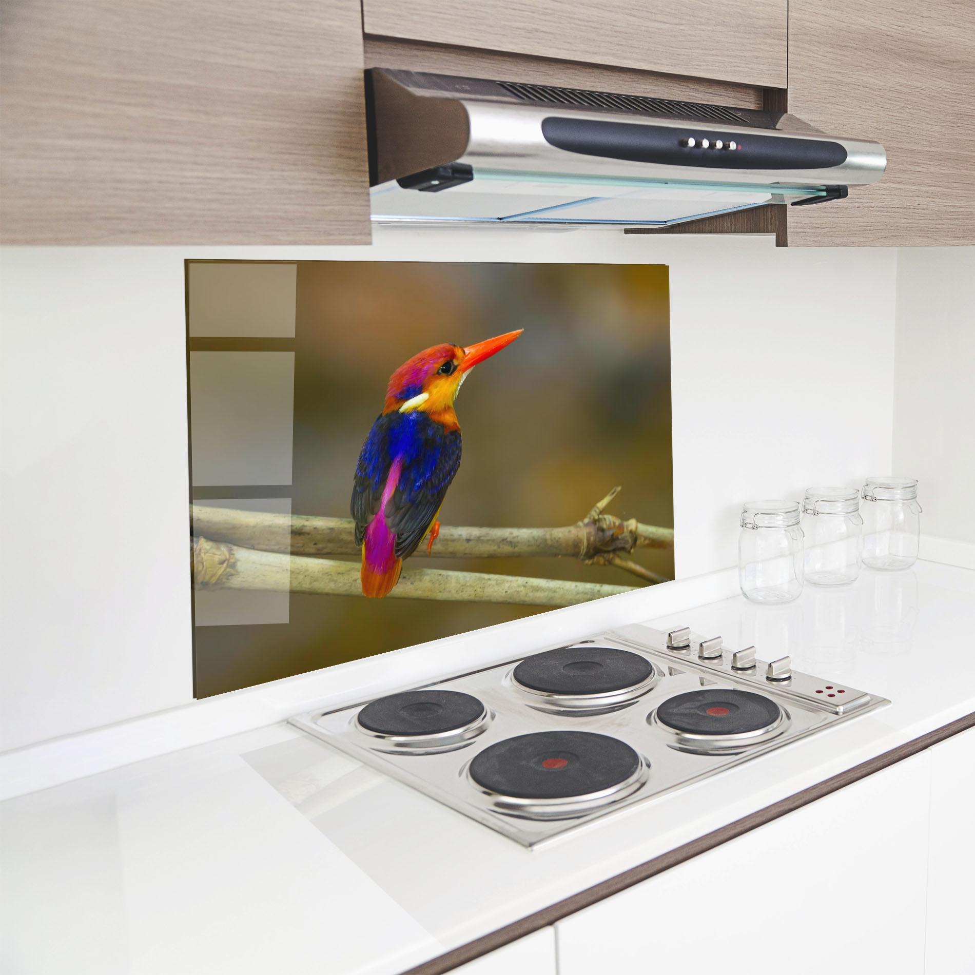 Küchenrückwand Glas Colorful Bird mockup 8