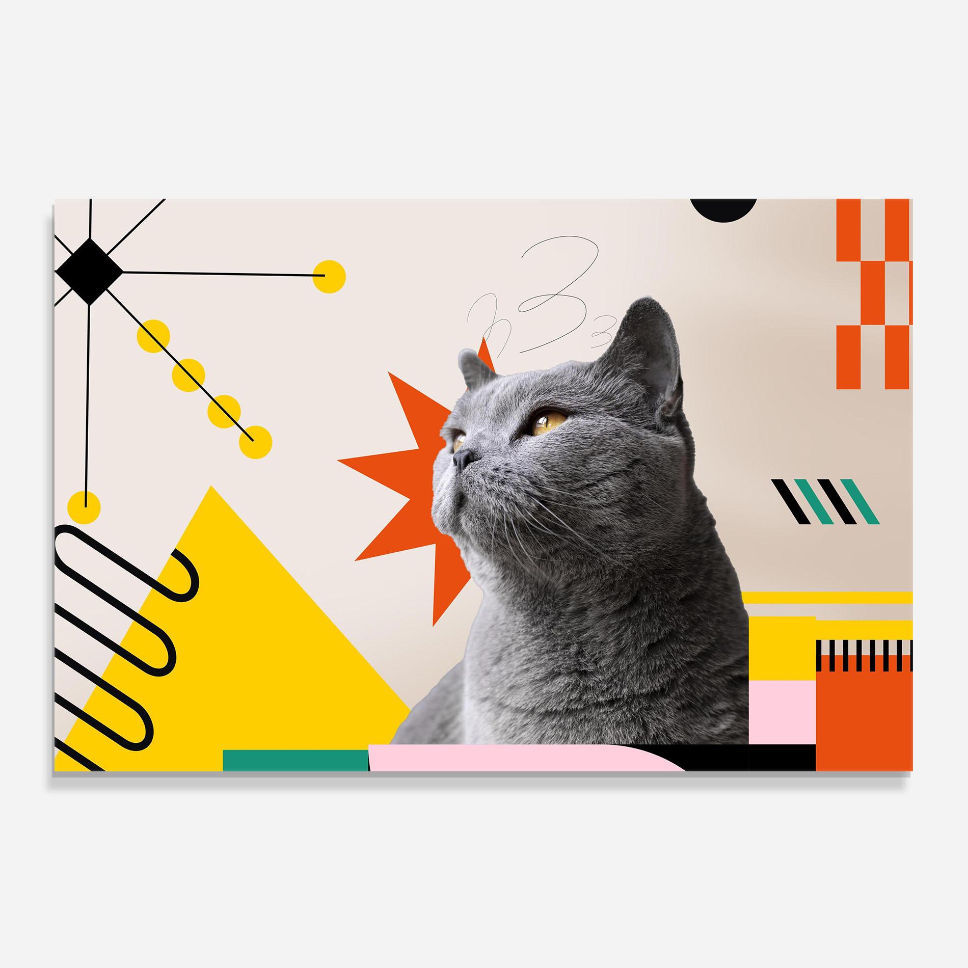 Küchenrückwand Glas Colorful Graphic Cat mockup 0