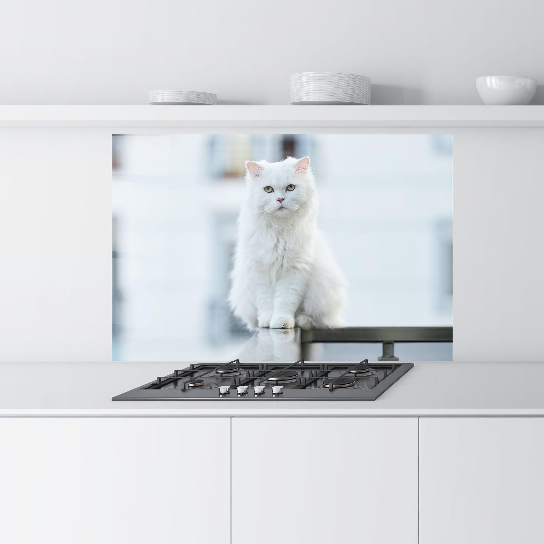 Küchenrückwand Glas Big White Cat mockup 9