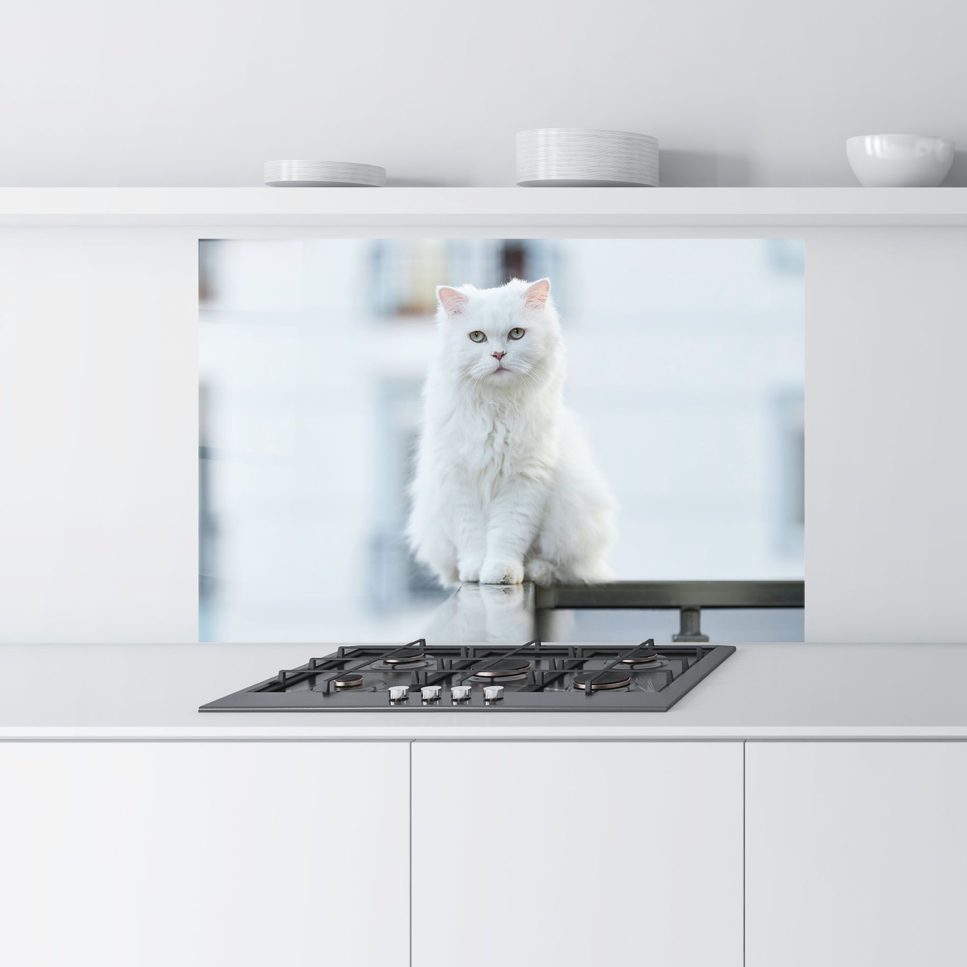 Big White Cat mockup 9