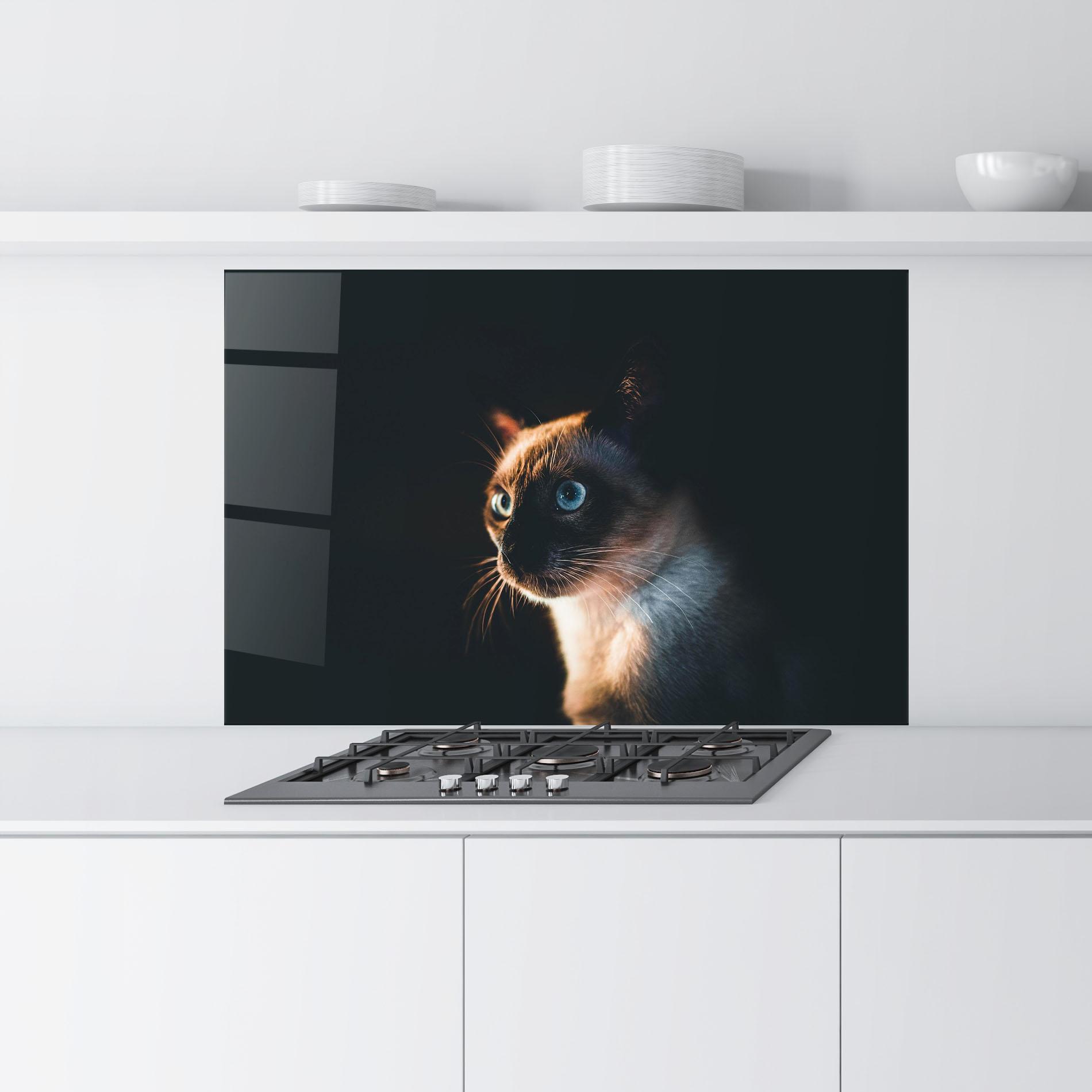 Küchenrückwand Glas Blue Eyes Cat In Dark mockup 9