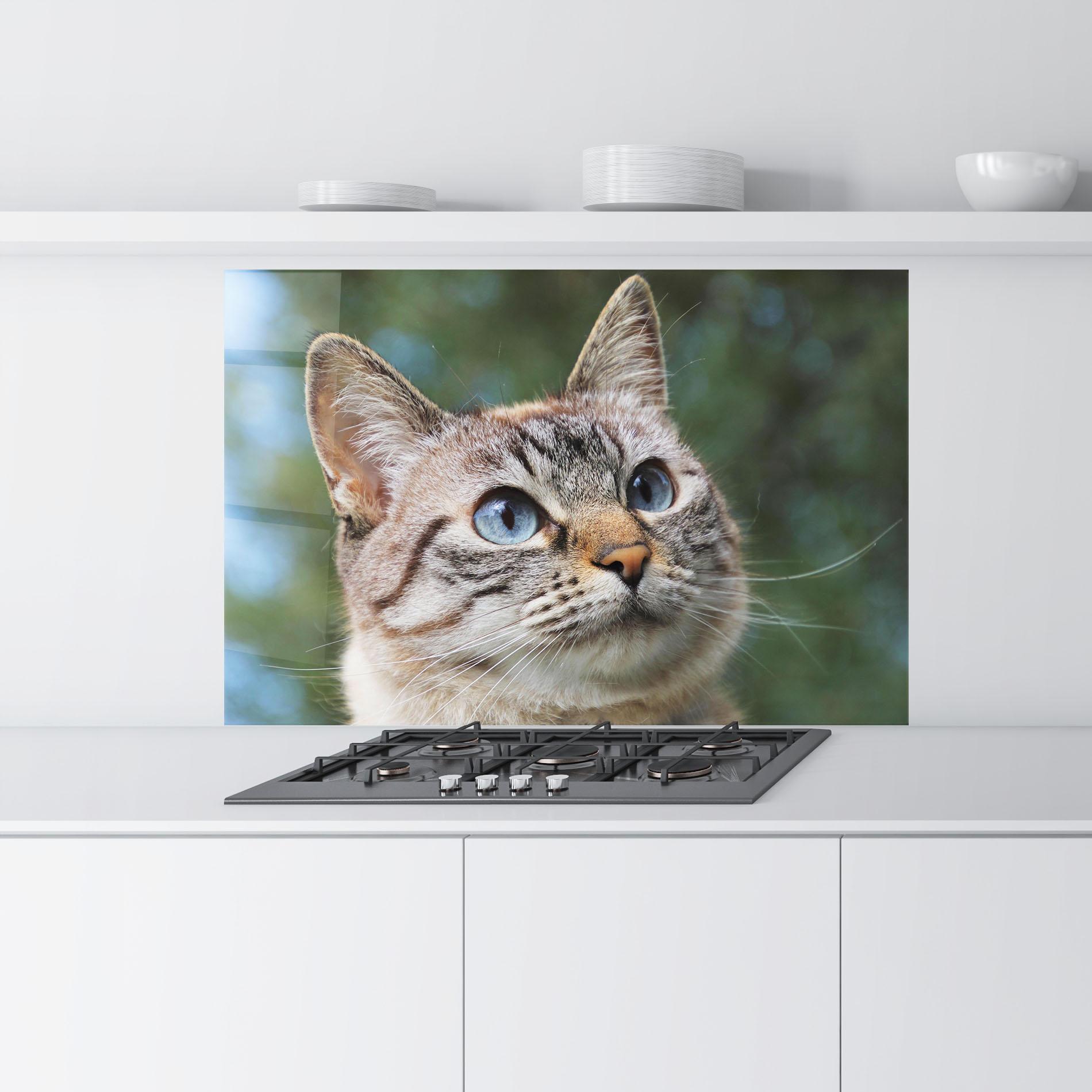 Küchenrückwand Glas Blue Eyes Cutie mockup 9