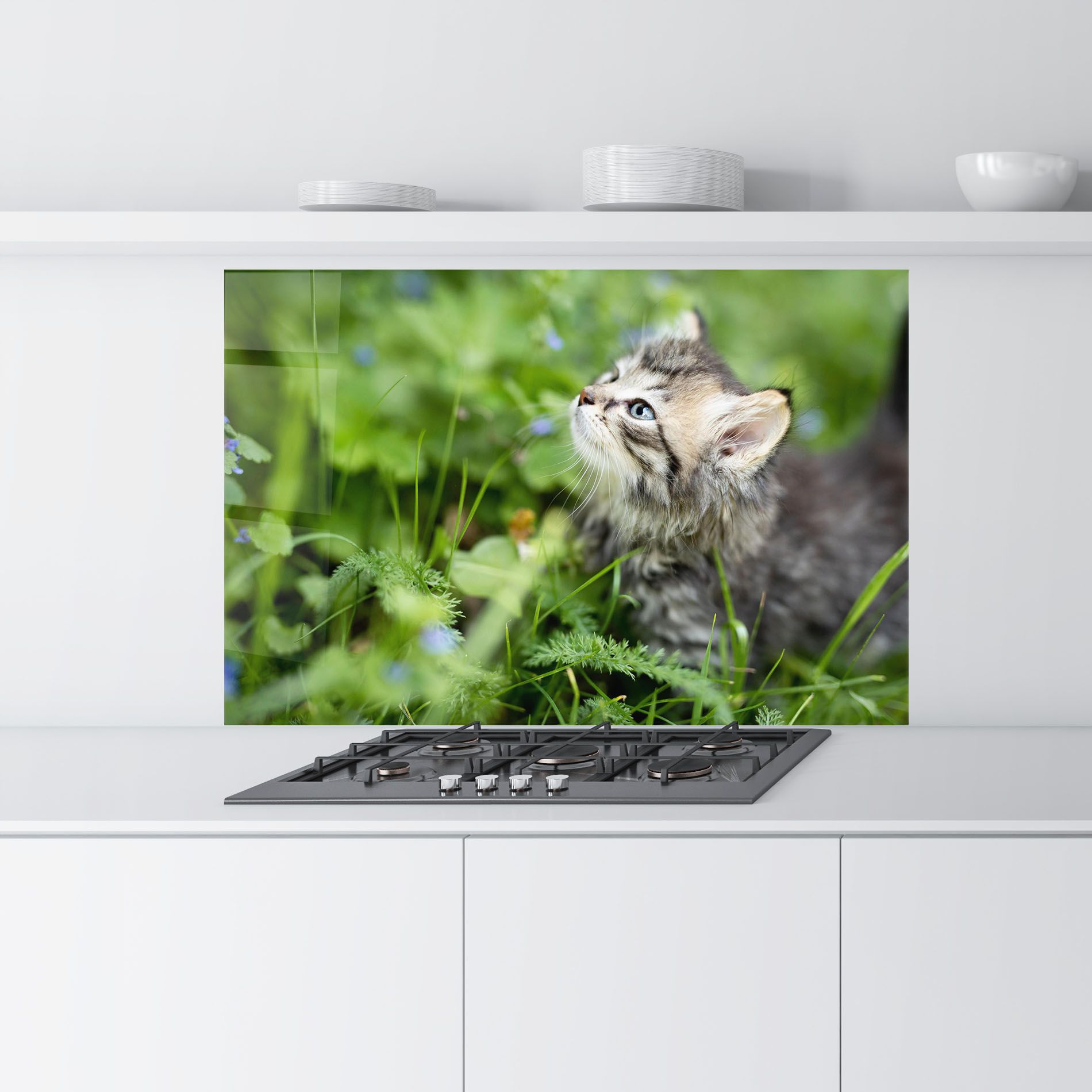 Brown Baby Cat mockup 9