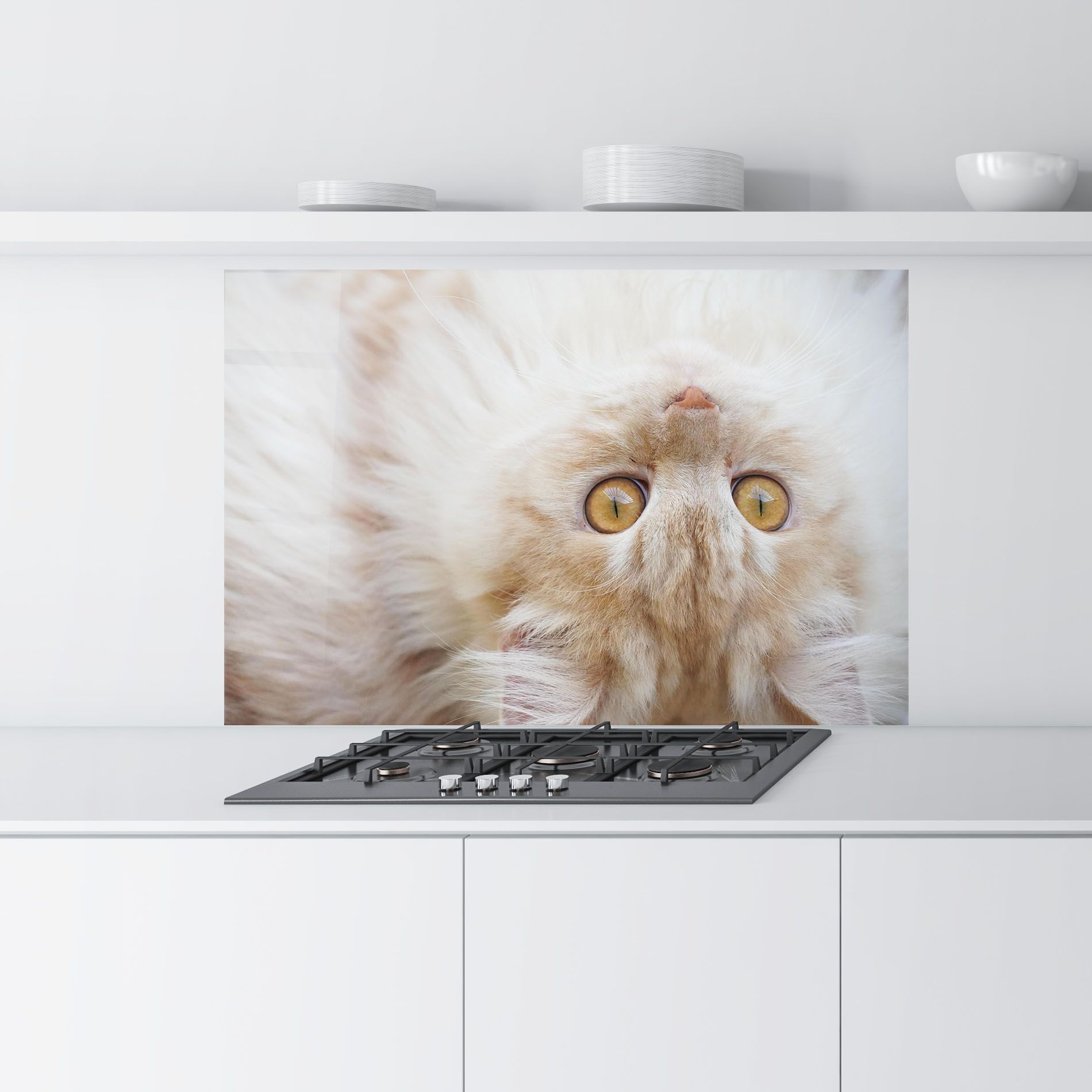 Close Up Yellow Eyes Cat mockup 9