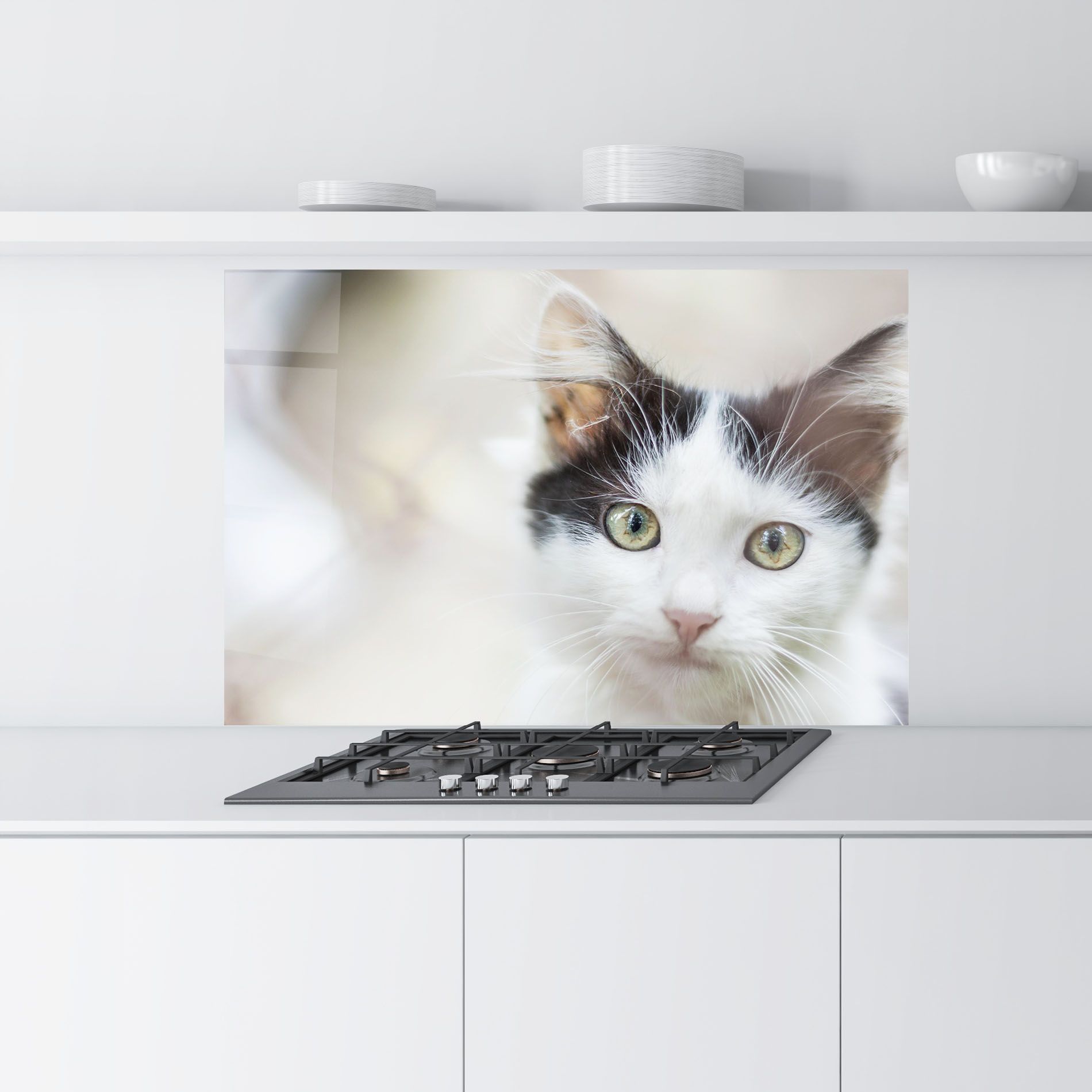 Cutie Cat mockup 9