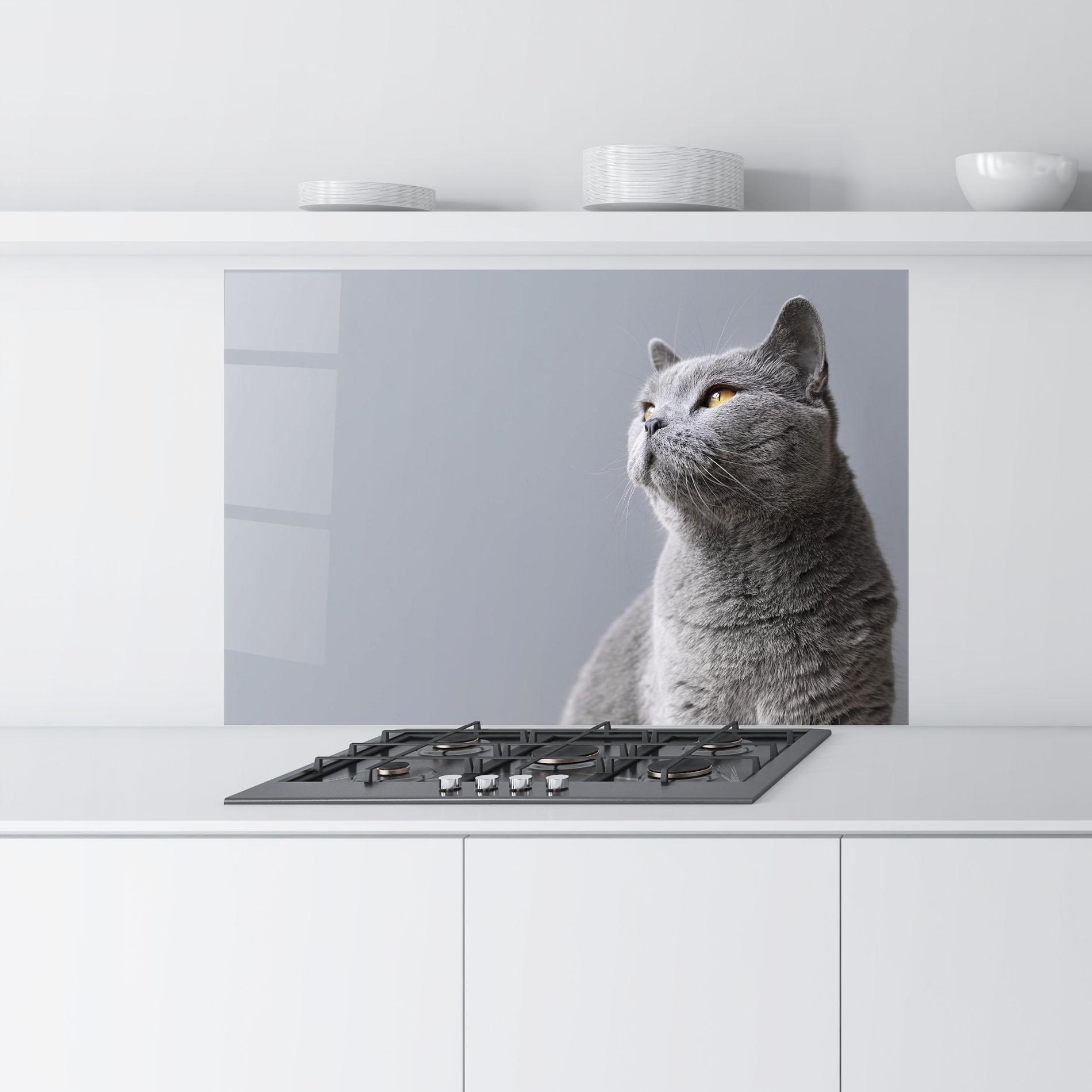 Küchenrückwand Glas Gray Kitty mockup 9
