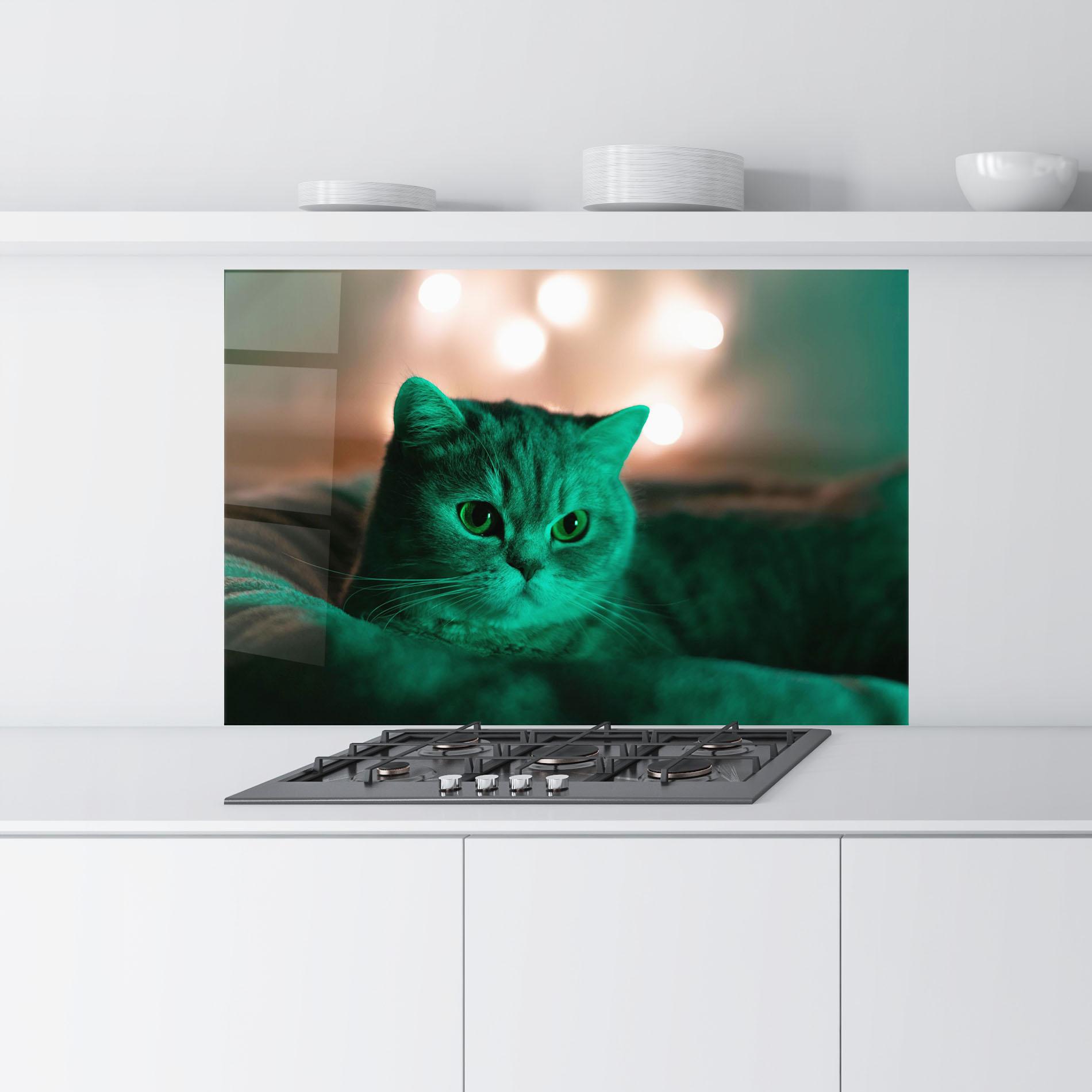 Küchenrückwand Glas Green Light Cat mockup 9