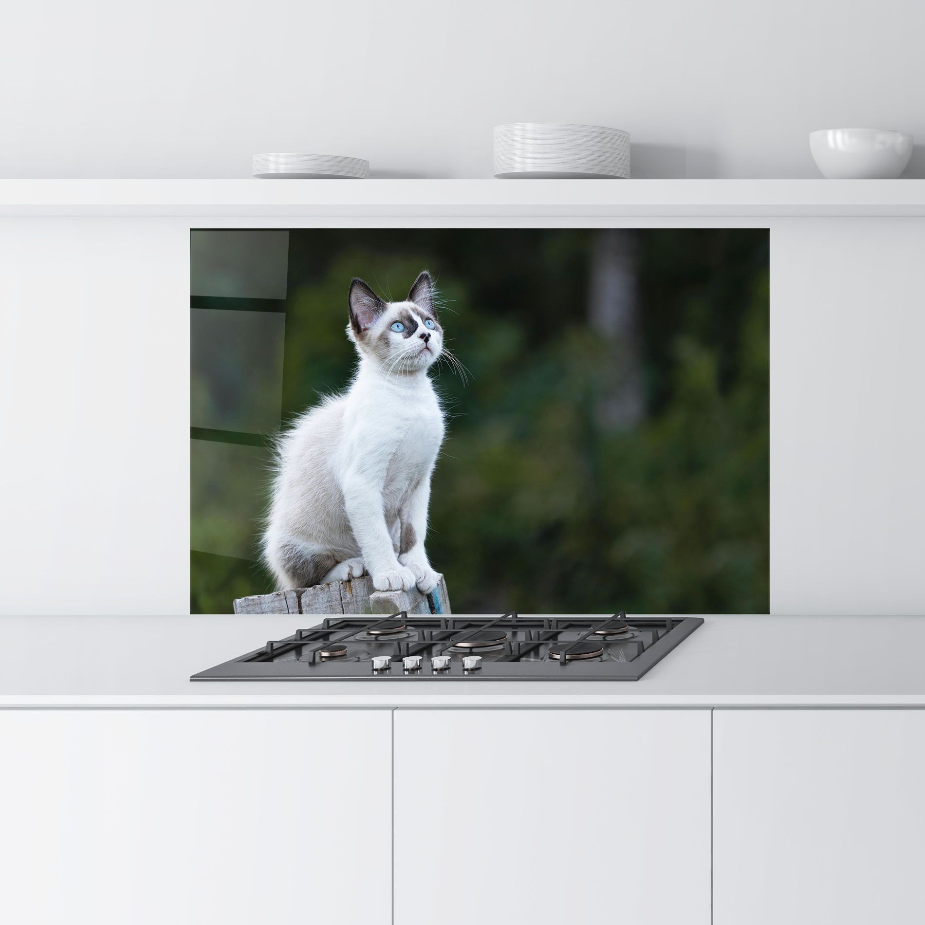 Grey Cat In Nature mockup 9