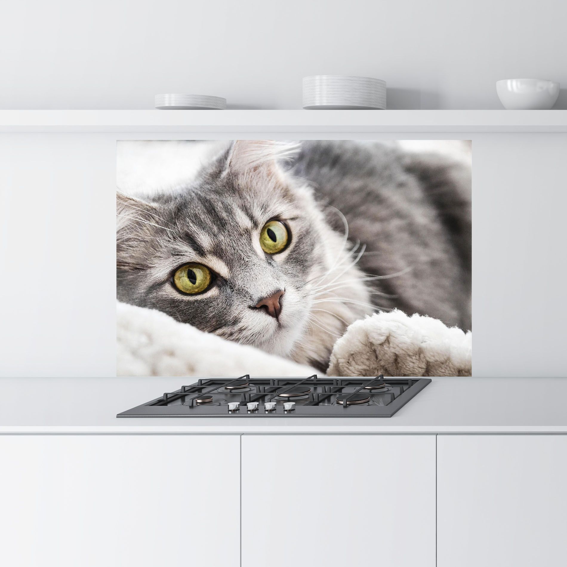 Grey Fluffy Cat mockup 9