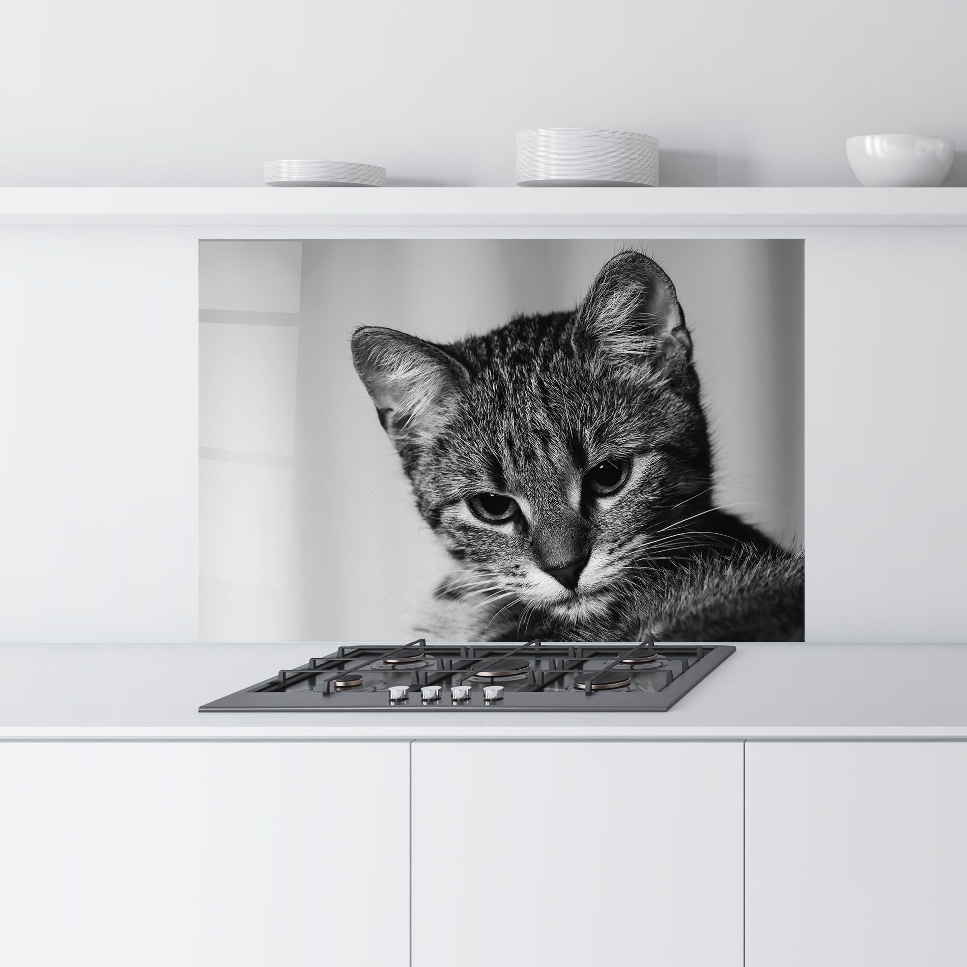 Grey Focused Cat mockup 9