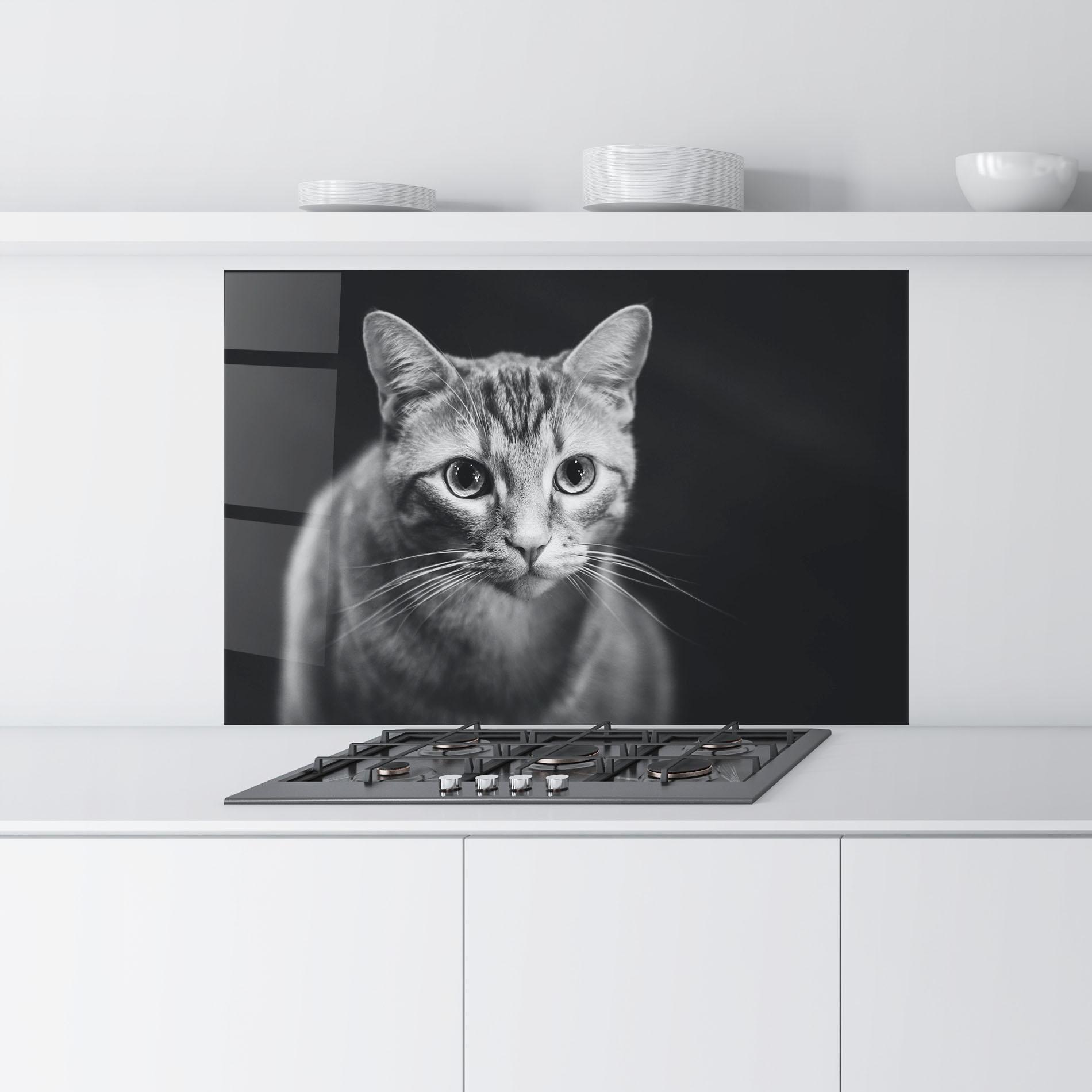 Küchenrückwand Glas Grey Kitty On Black mockup 9