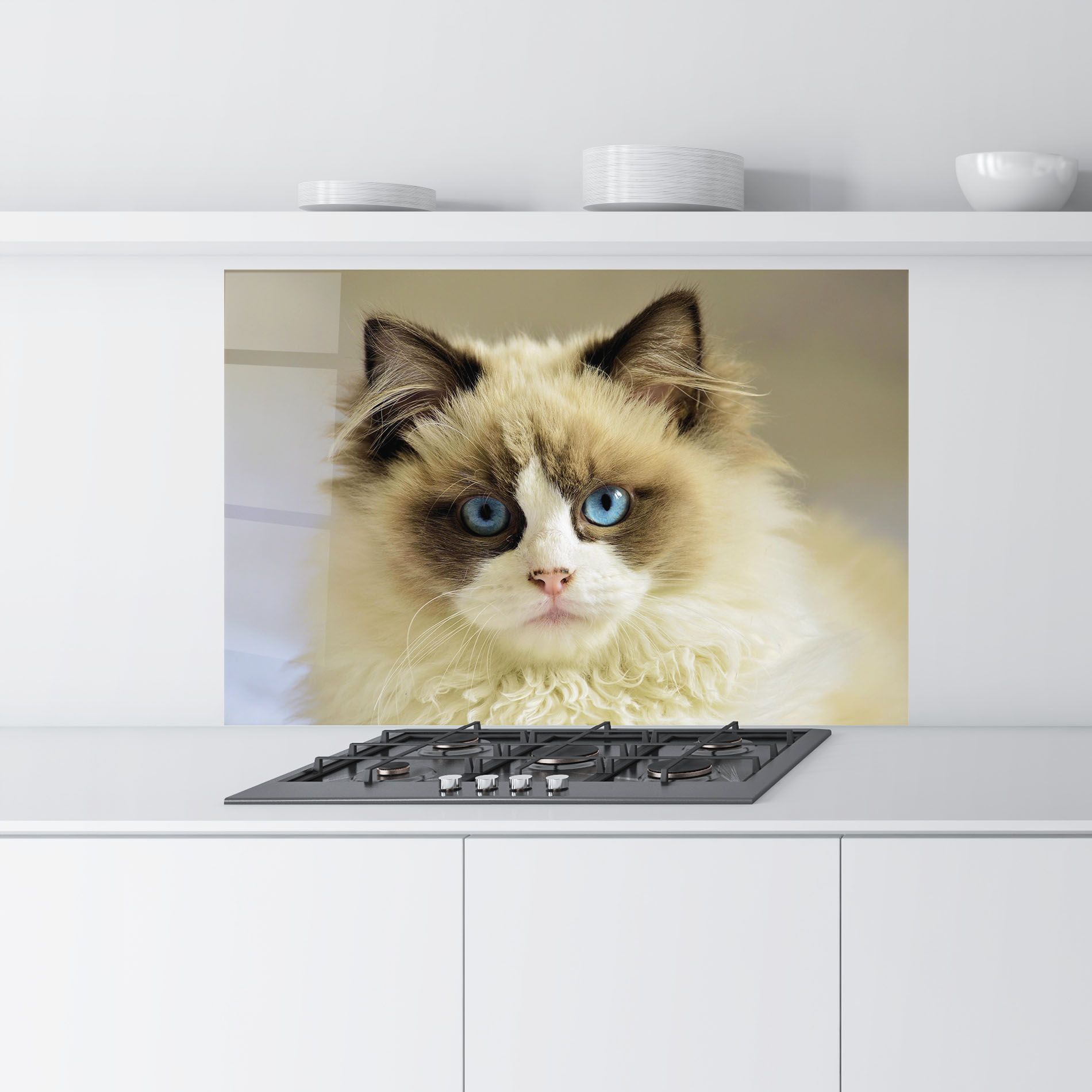 Interesting Blue Eyes Cat mockup 9