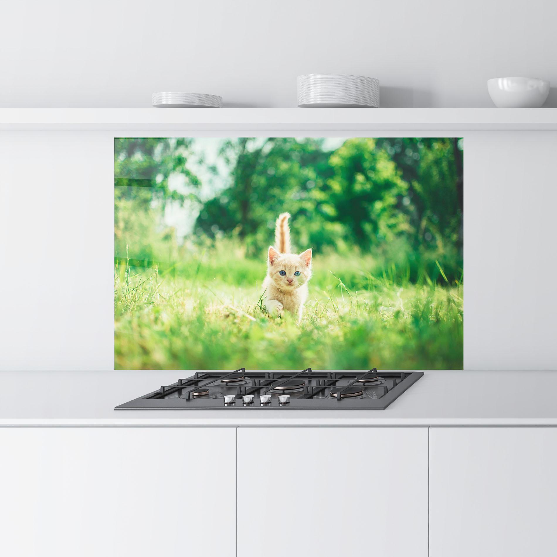 Küchenrückwand Glas Little Cute Cat mockup 9