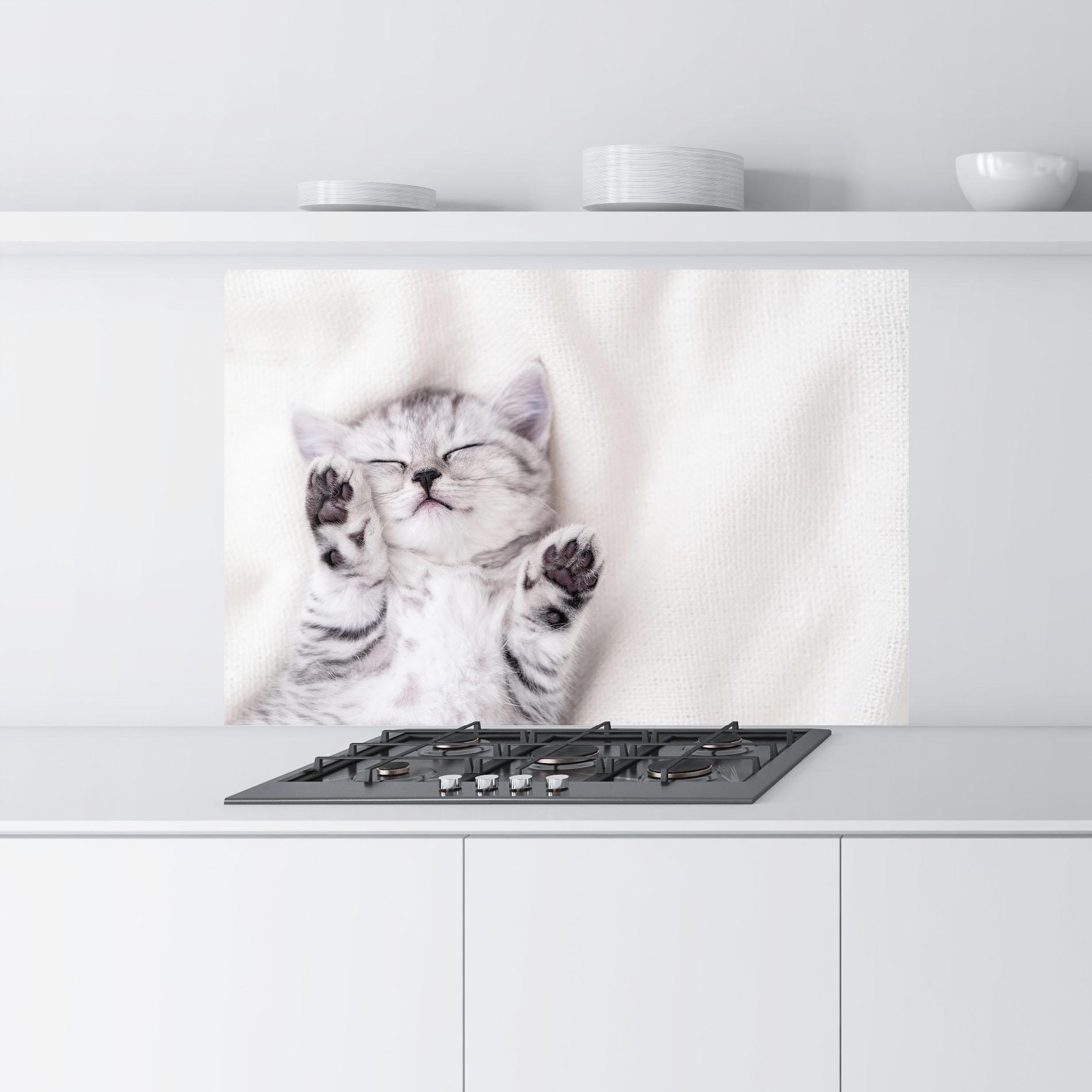 Küchenrückwand Glas Pretty Baby Cat mockup 9