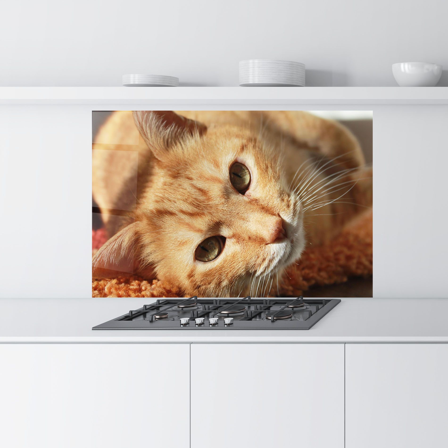 Pretty Orange Cat mockup 9