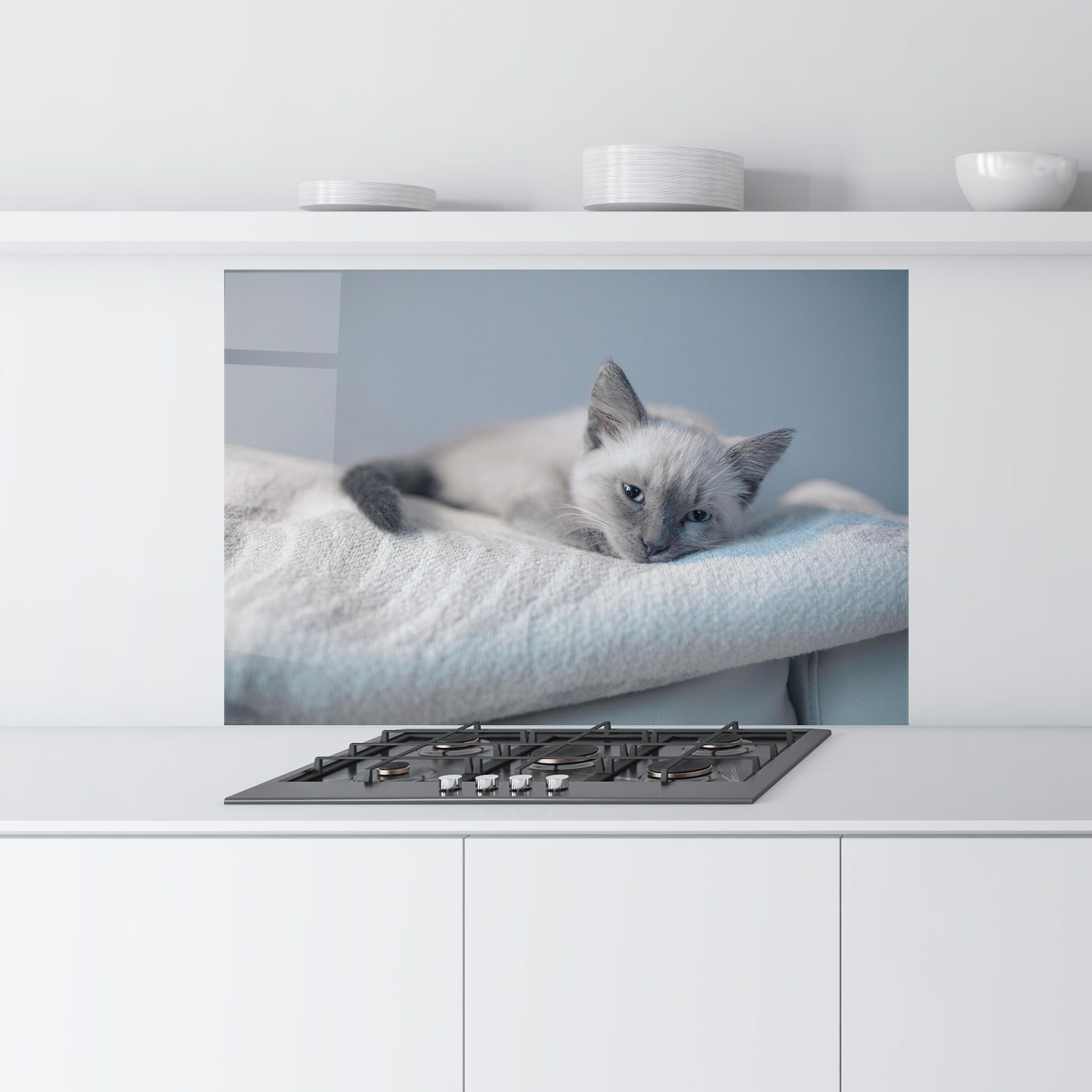 Sleepy Grey Cat mockup 9