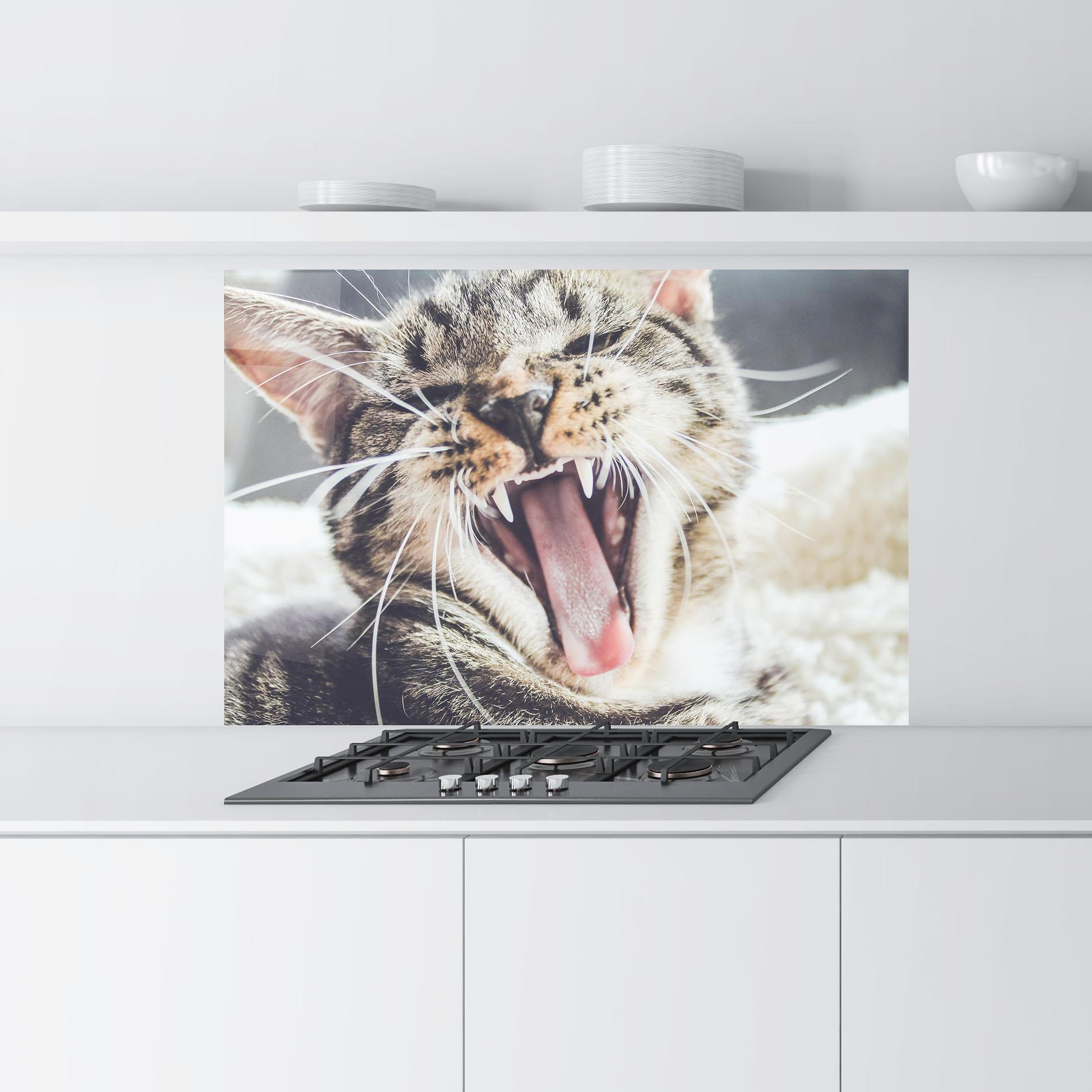 Küchenrückwand Glas Wroar Cat mockup 9