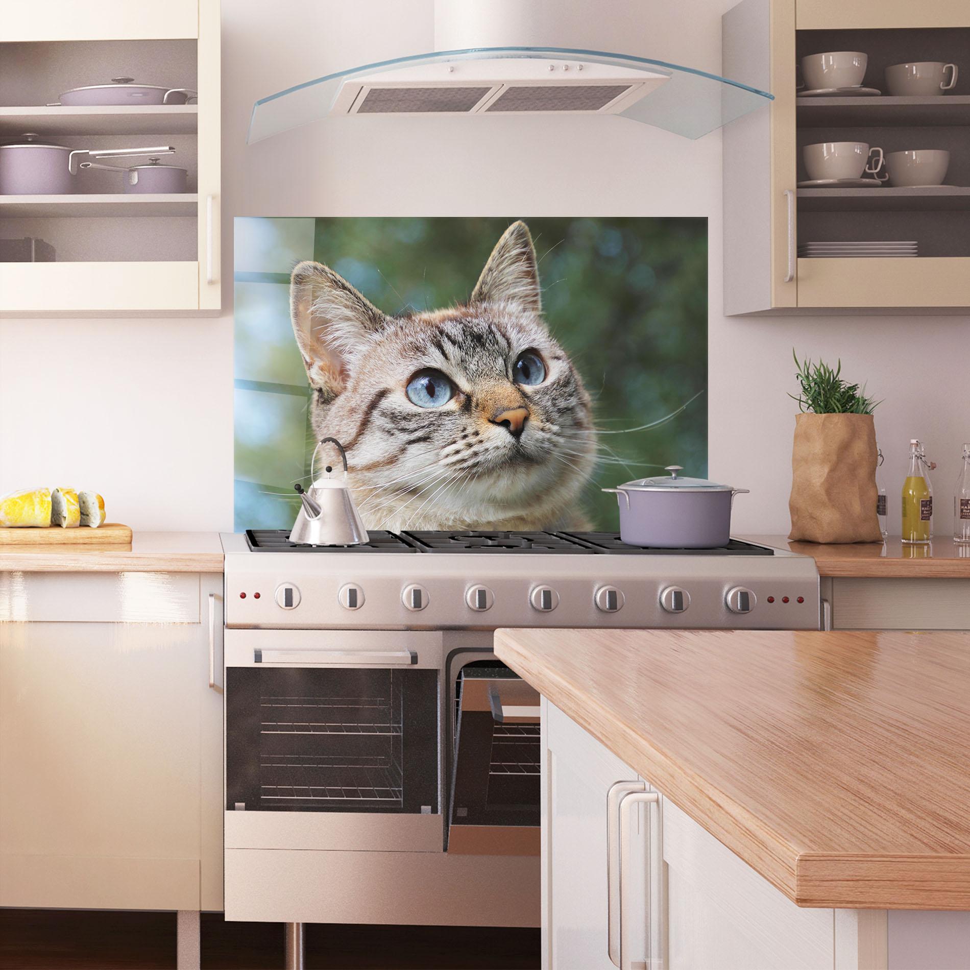 Küchenrückwand Glas Blue Eyes Cutie mockup 1