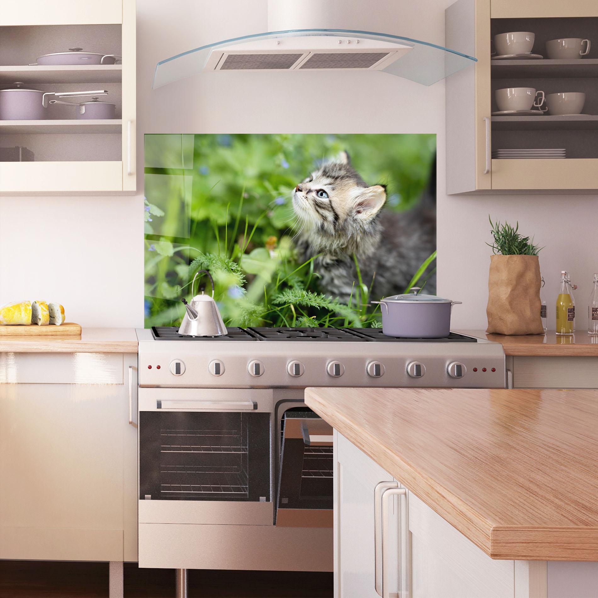 Küchenrückwand Glas Brown Baby Cat mockup 1