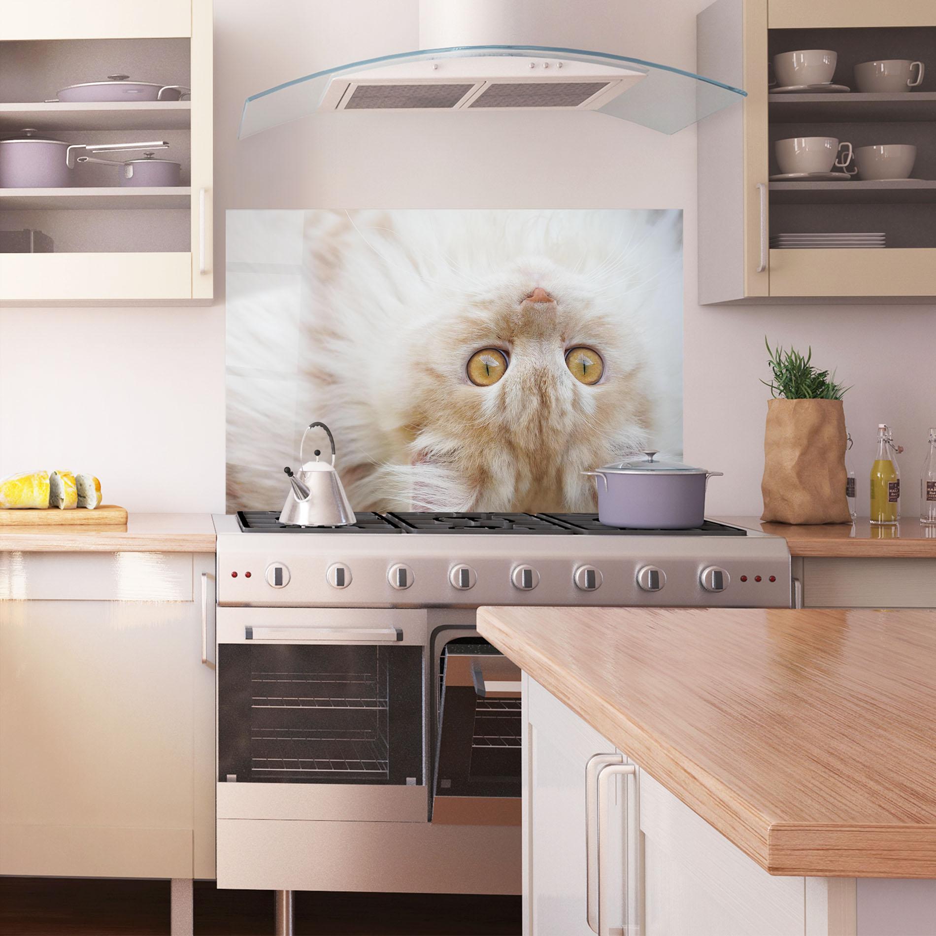 Küchenrückwand Glas Close Up Yellow Eyes Cat mockup 1
