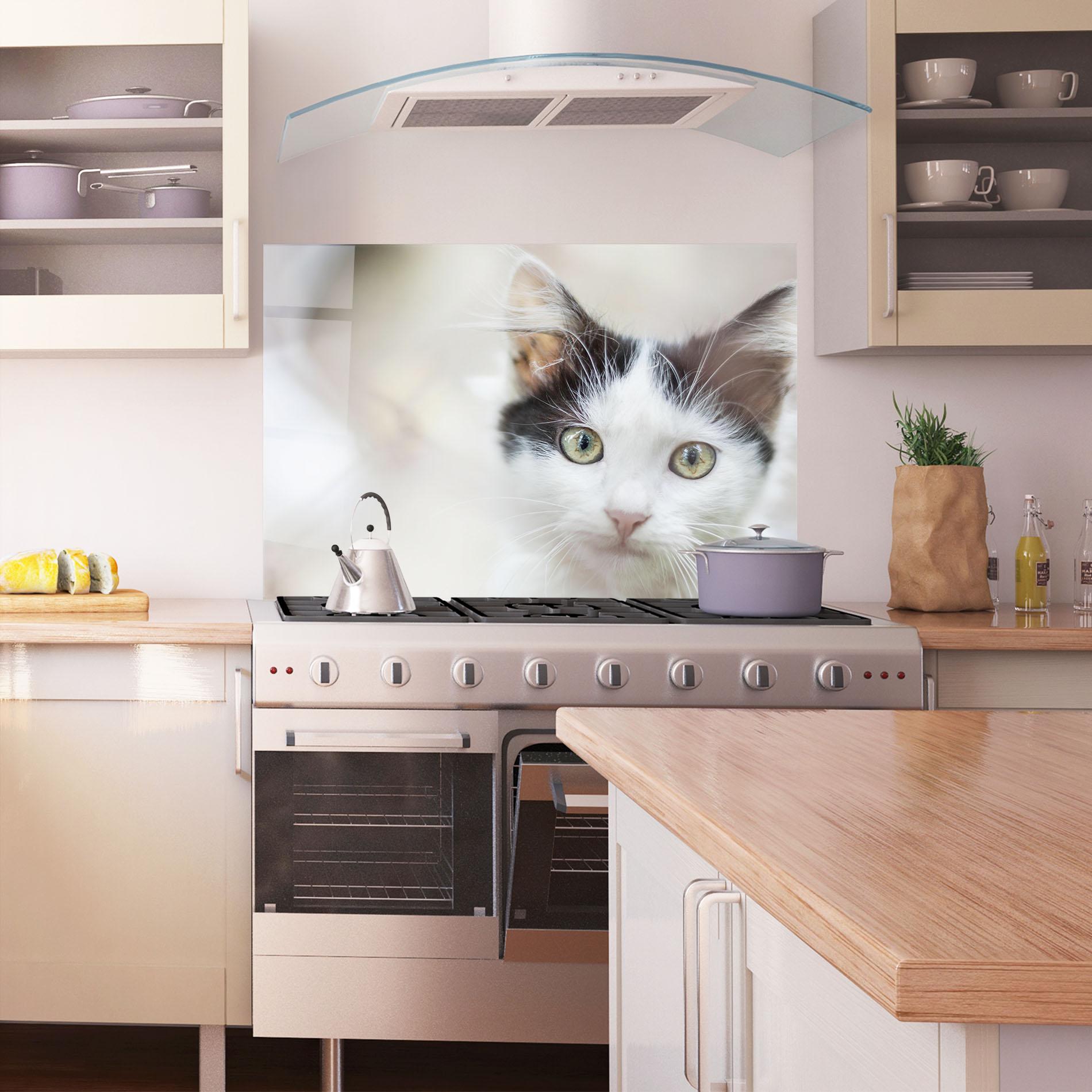 Küchenrückwand Glas Cutie Cat mockup 1