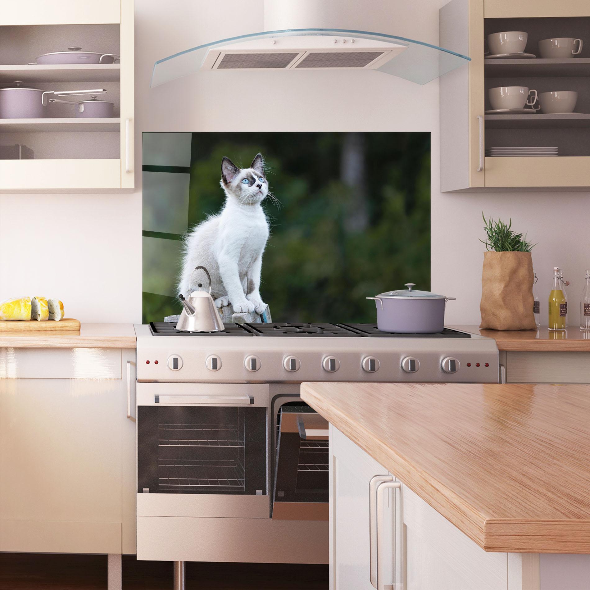 Küchenrückwand Glas Grey Cat In Nature mockup 1
