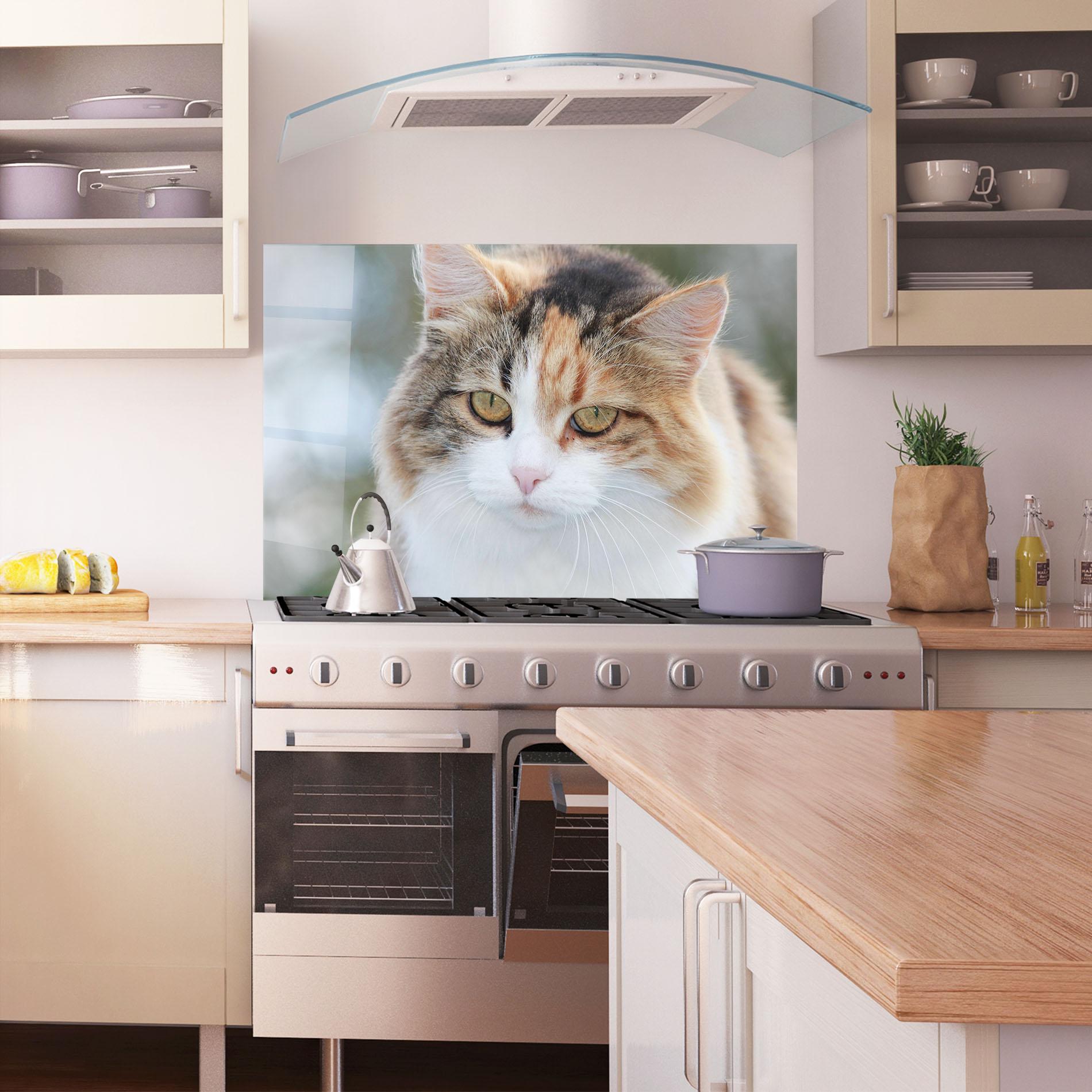 Küchenrückwand Glas Orange Brown Cat mockup 1
