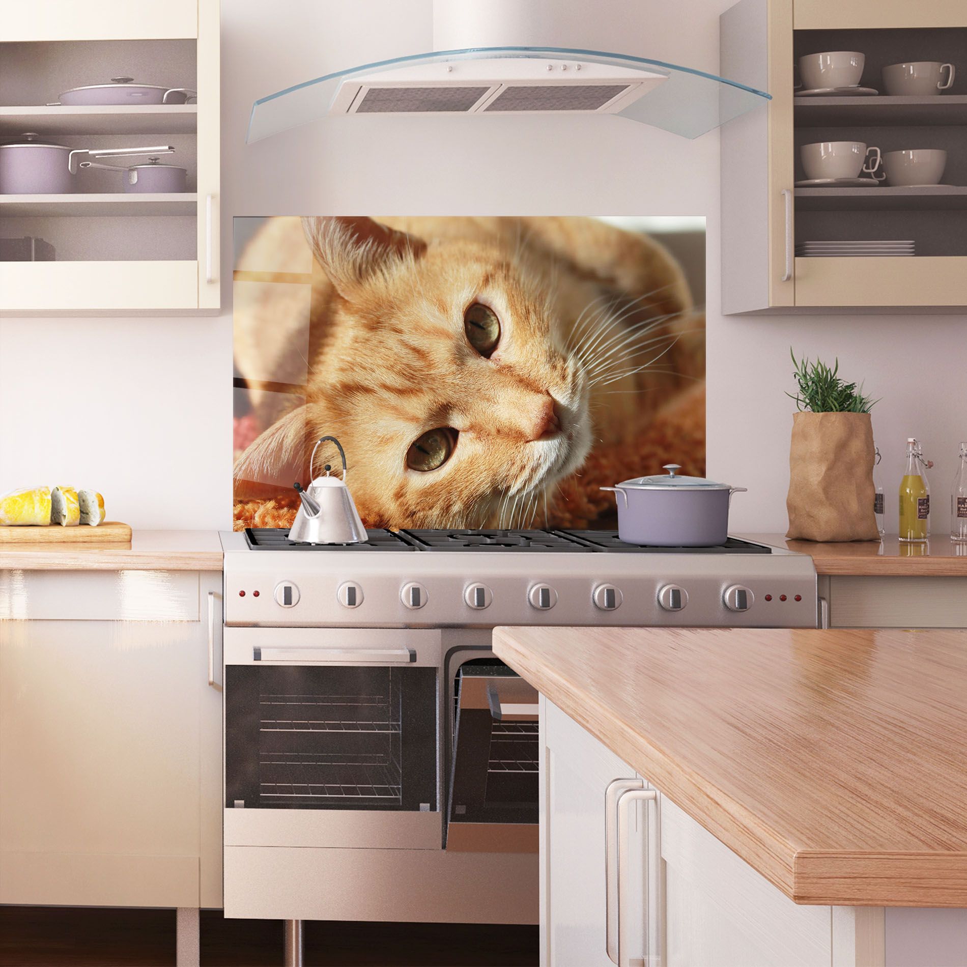 Pretty Orange Cat mockup 1