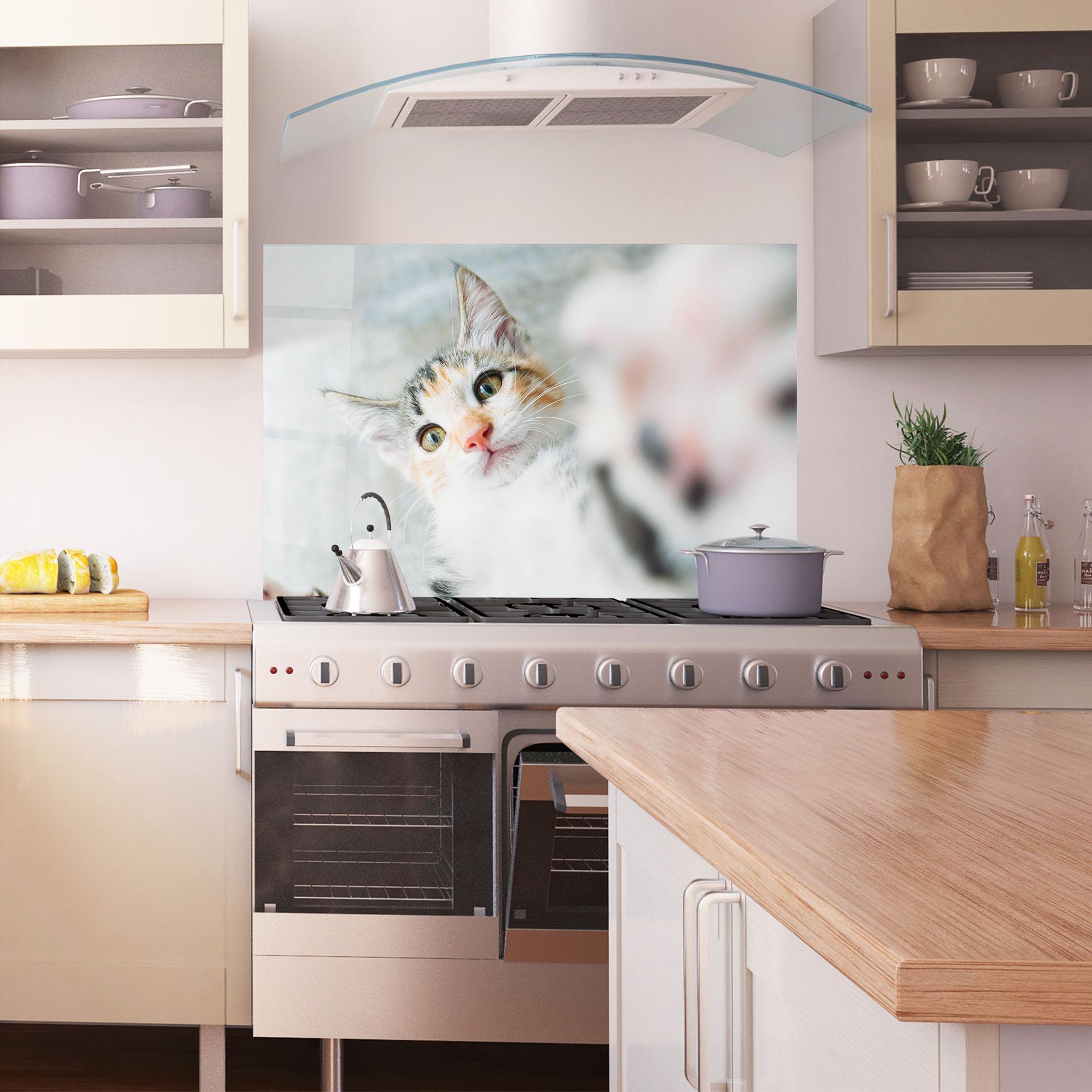 Küchenrückwand Glas Pretty Pink Nose Cat mockup 1