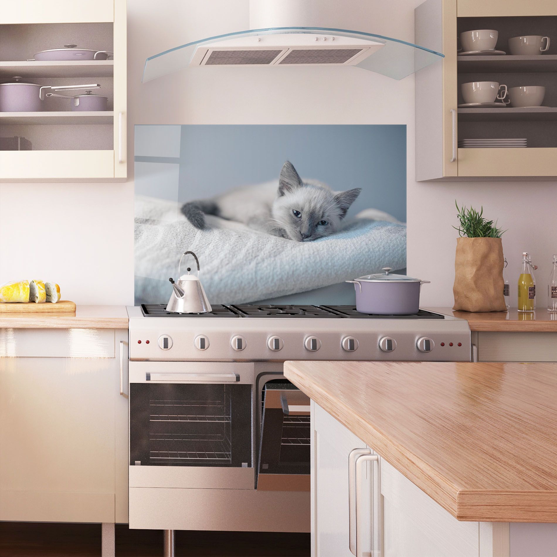 Sleepy Grey Cat mockup 1