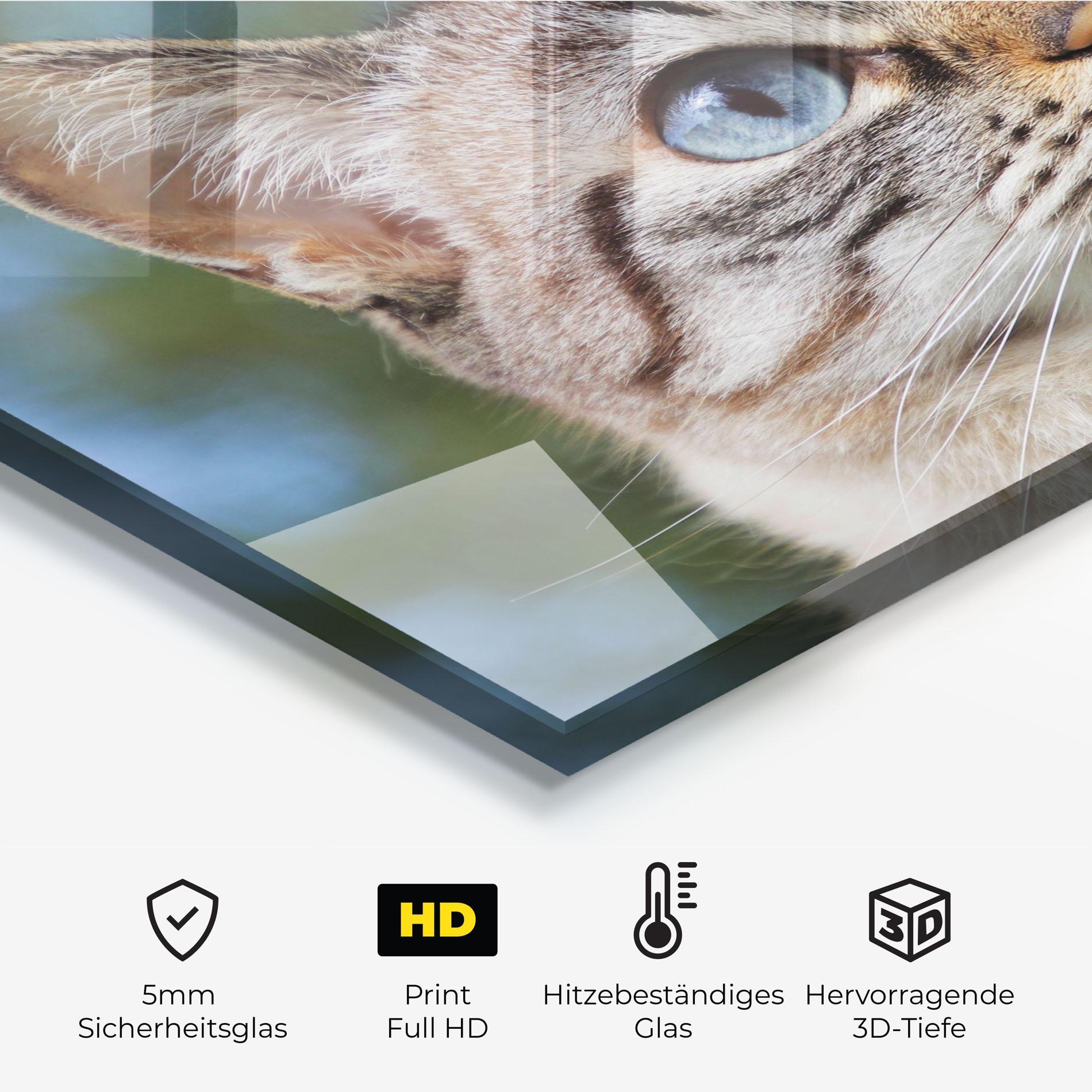 Küchenrückwand Glas Blue Eyes Cutie mockup 2