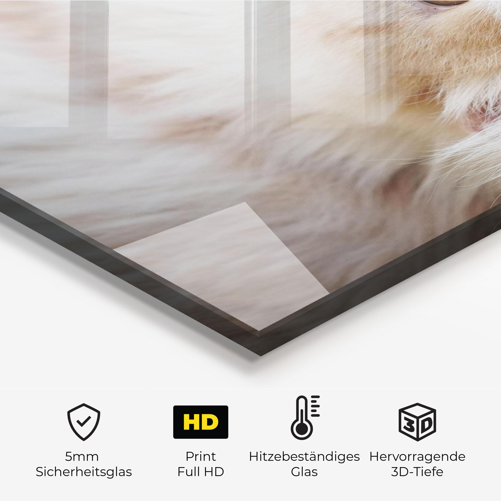 Küchenrückwand Glas Close Up Yellow Eyes Cat mockup 2