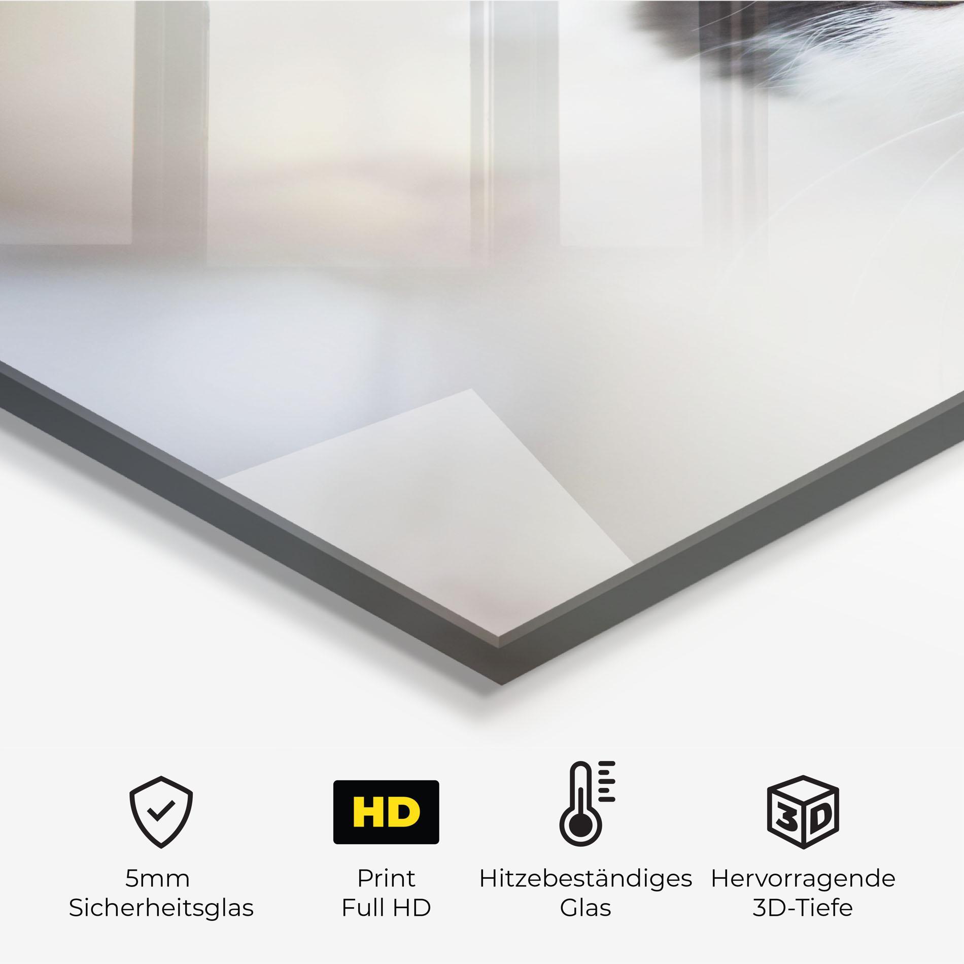 Küchenrückwand Glas Cutie Cat mockup 2