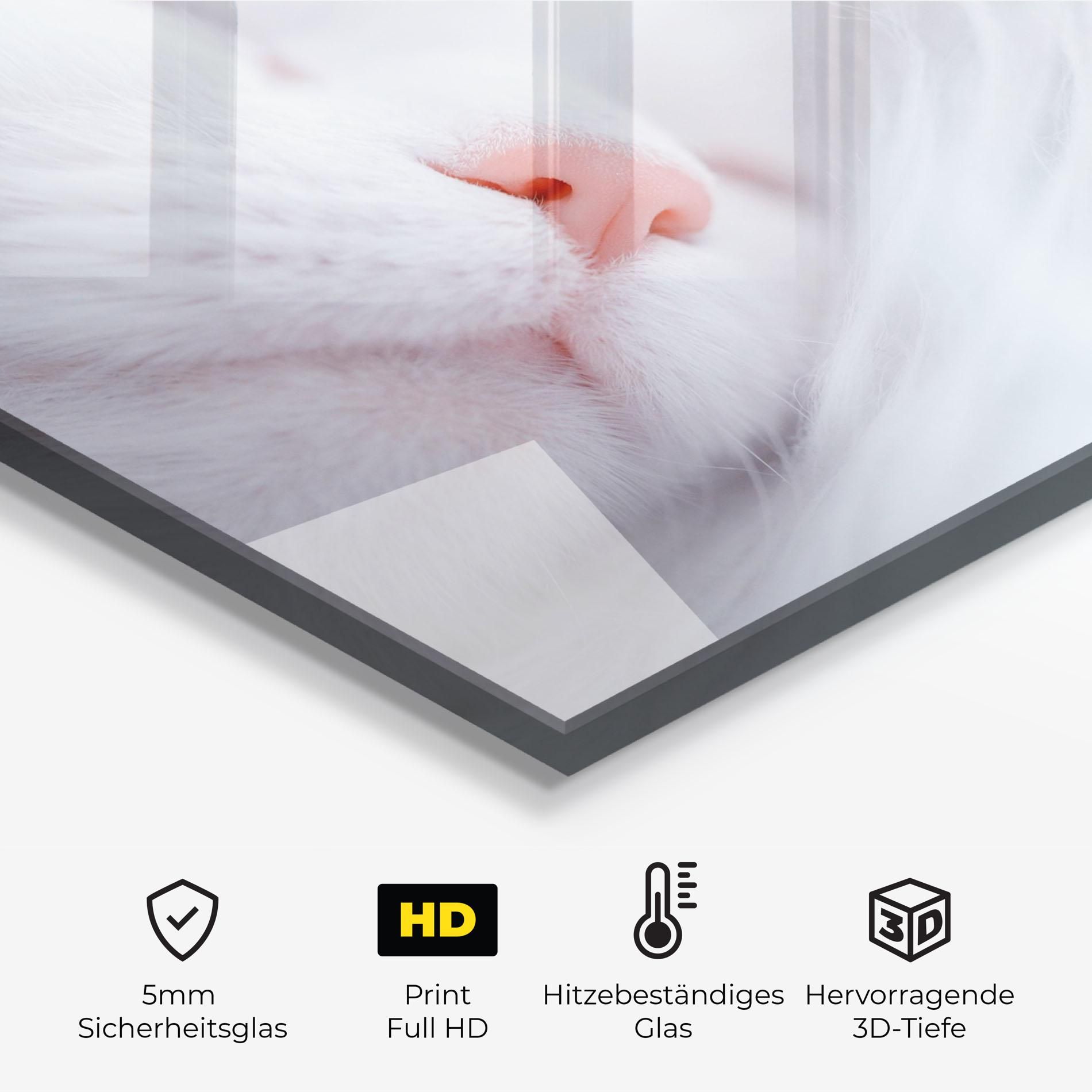 Dreamy White Cat mockup 2