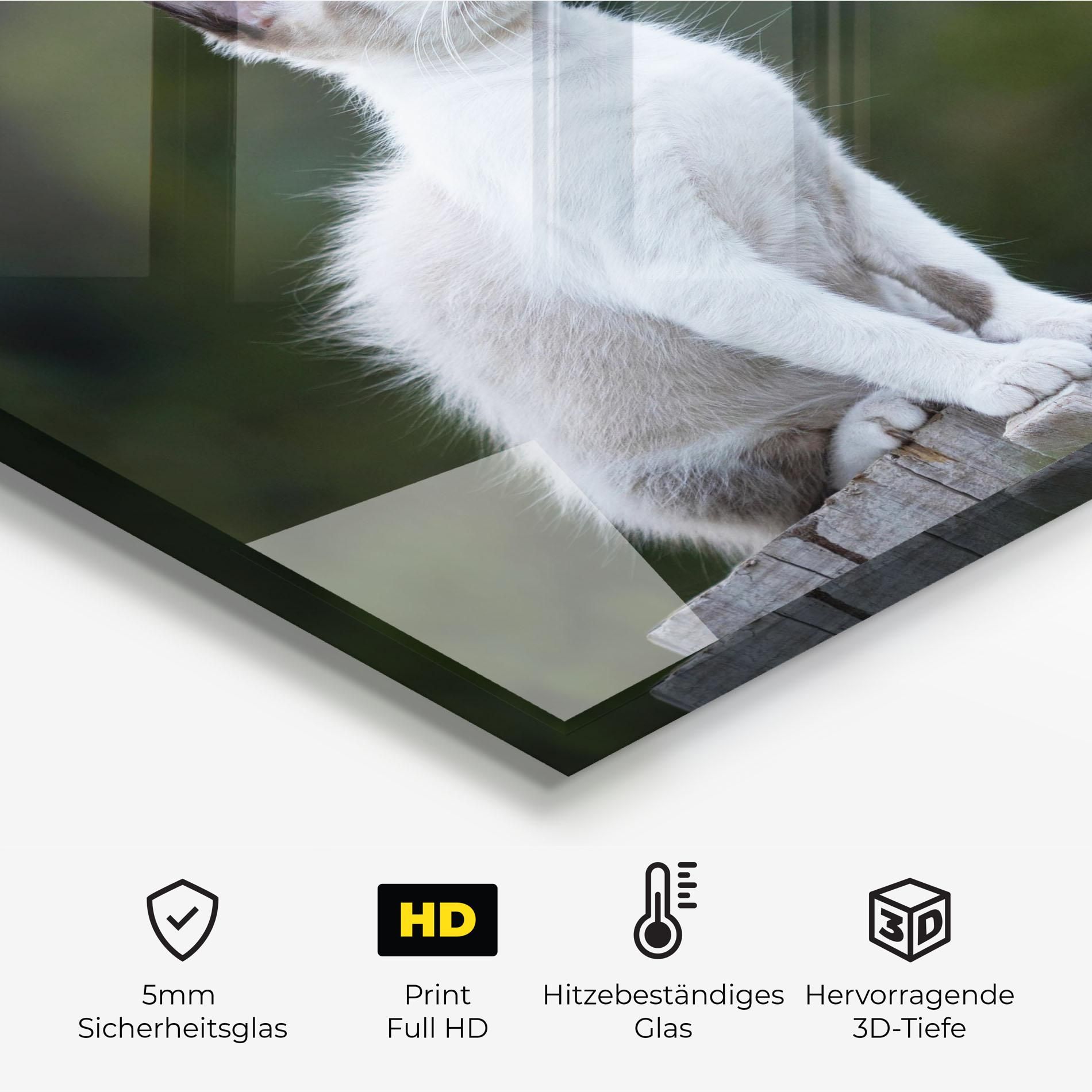 Grey Cat In Nature mockup 2