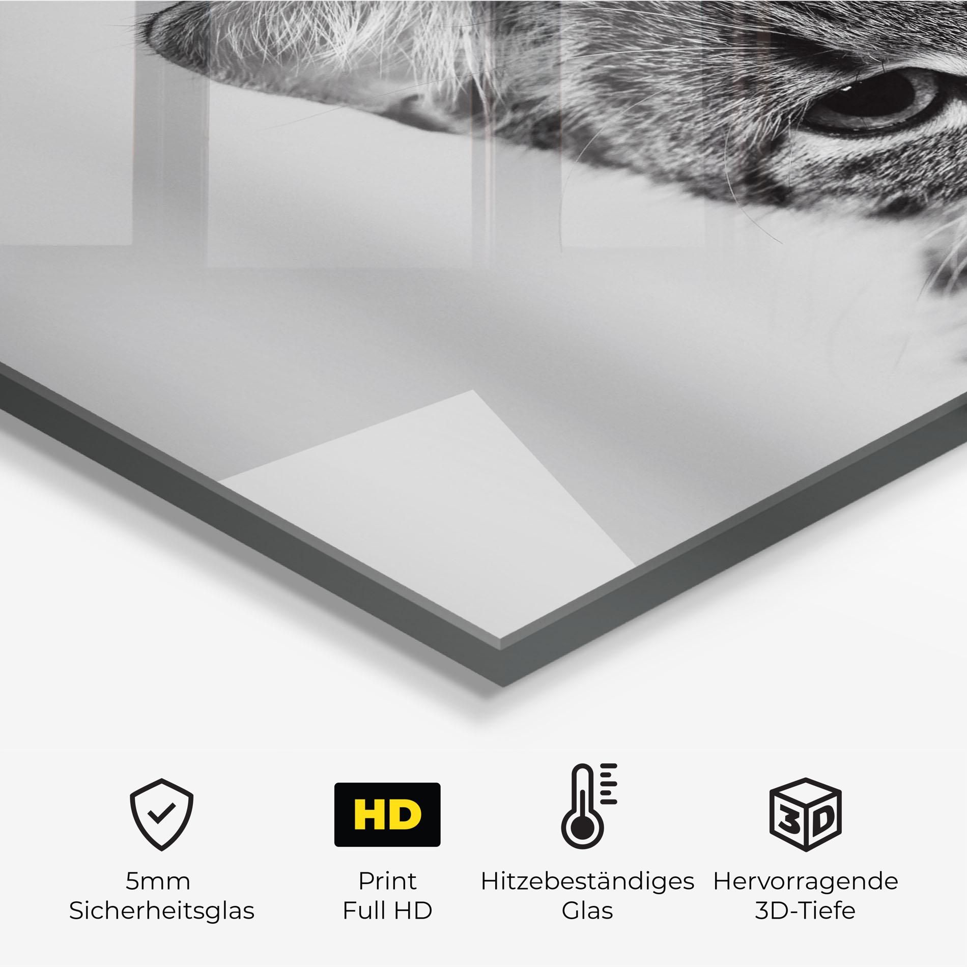 Grey Focused Cat mockup 2