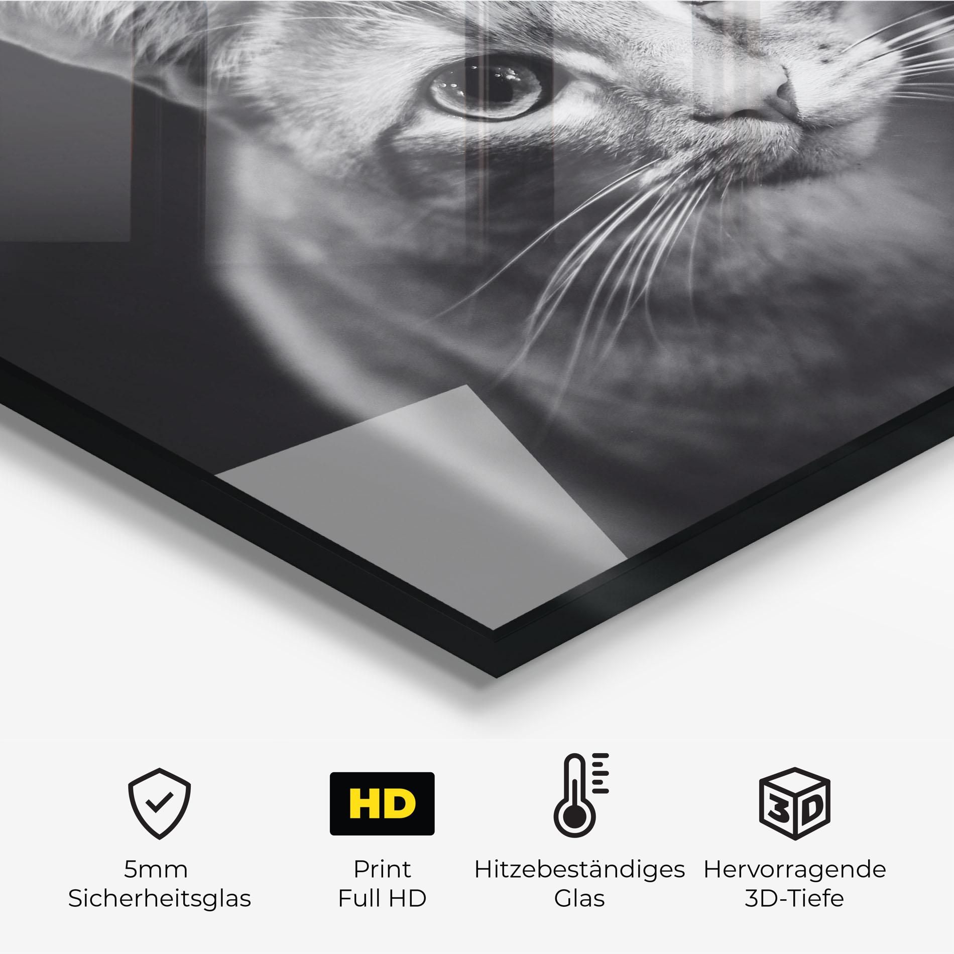 Grey Kitty On Black mockup 2