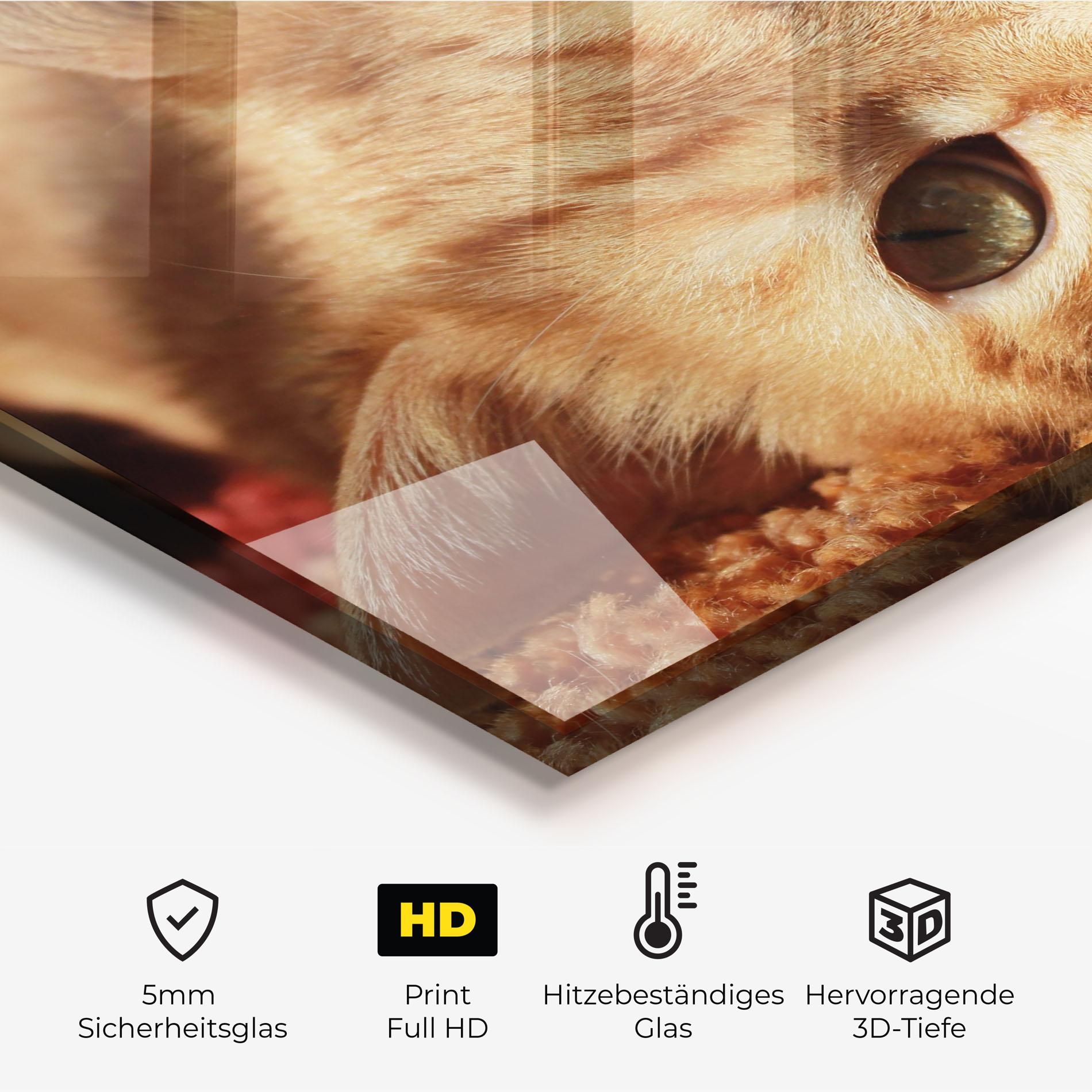 Pretty Orange Cat mockup 2