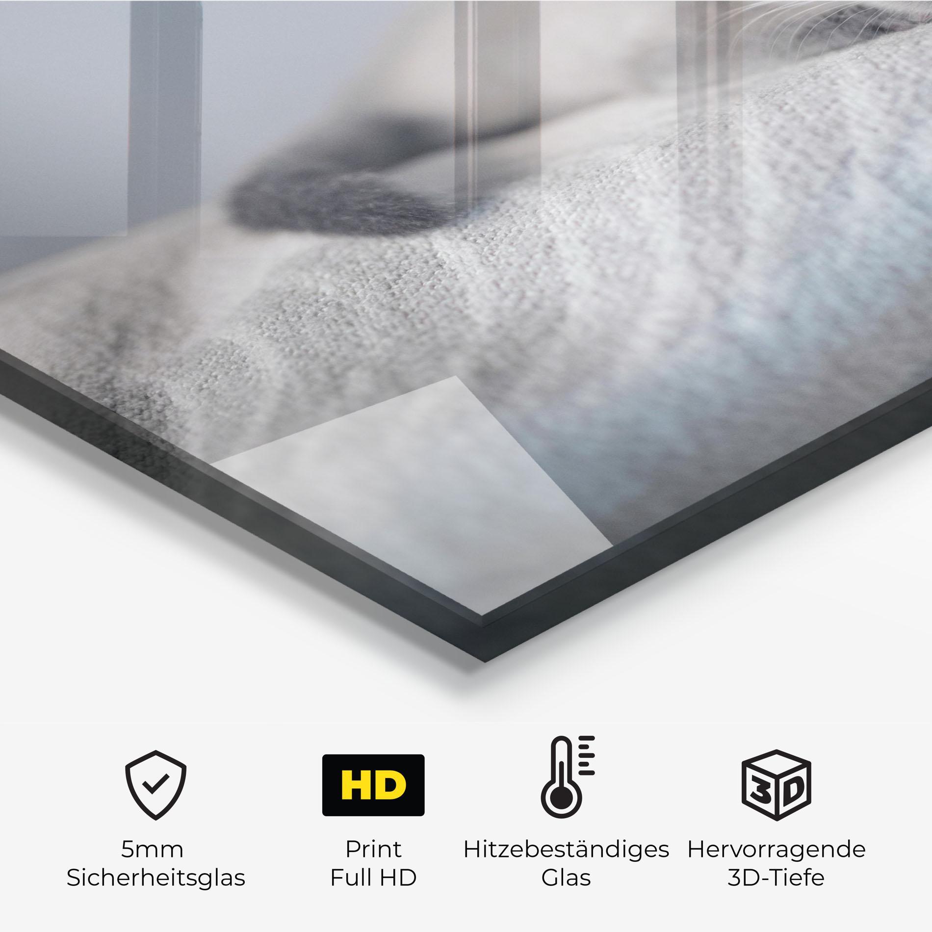 Küchenrückwand Glas Sleepy Grey Cat mockup 2