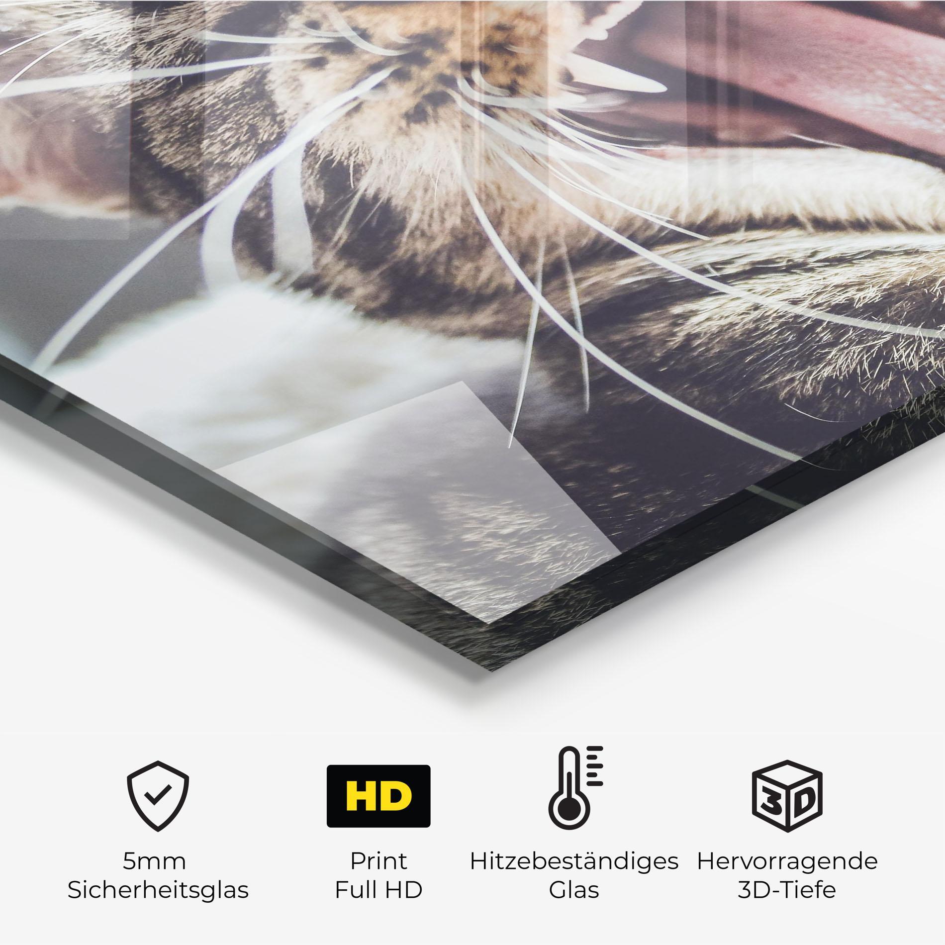 Küchenrückwand Glas Wroar Cat mockup 2